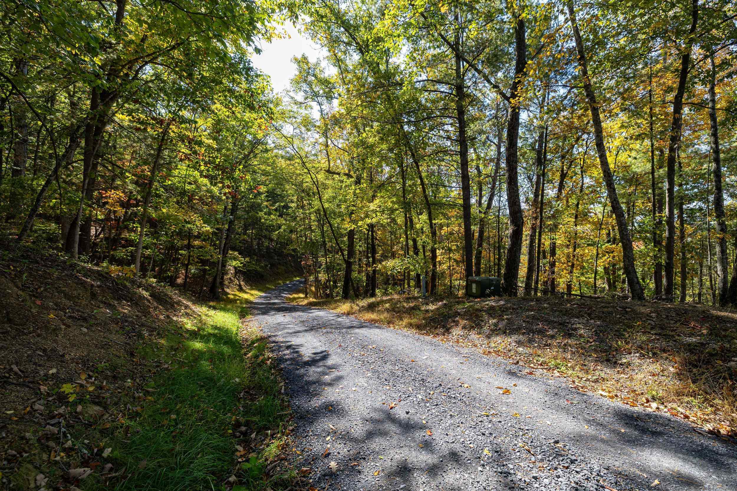 0 DAWN DR, BASYE, Virginia 22810, ,Land,0 DAWN DR,683140 MLS # 683140