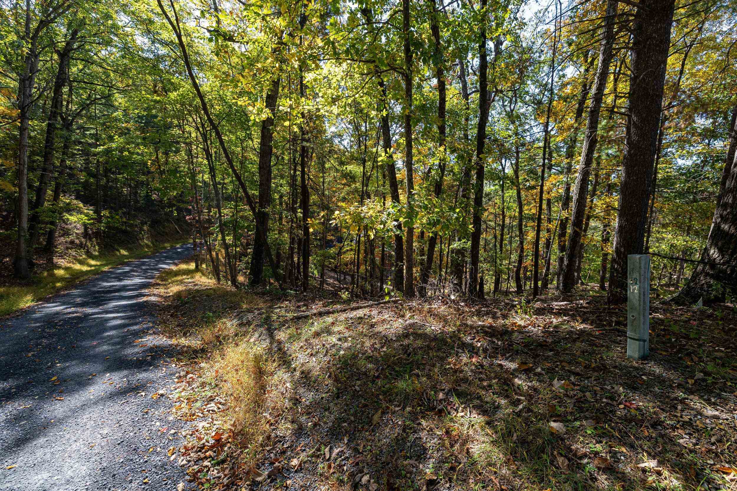 0 DAWN DR, BASYE, Virginia 22810, ,Land,0 DAWN DR,683140 MLS # 683140