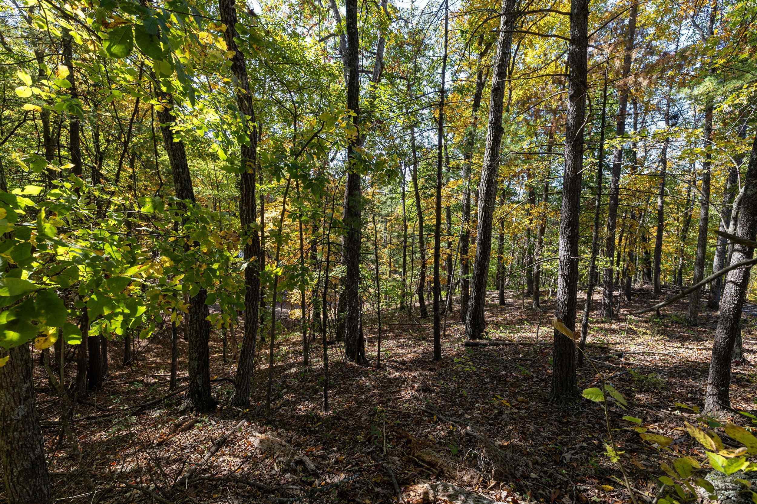 0 DAWN DR, BASYE, Virginia 22810, ,Land,0 DAWN DR,683140 MLS # 683140