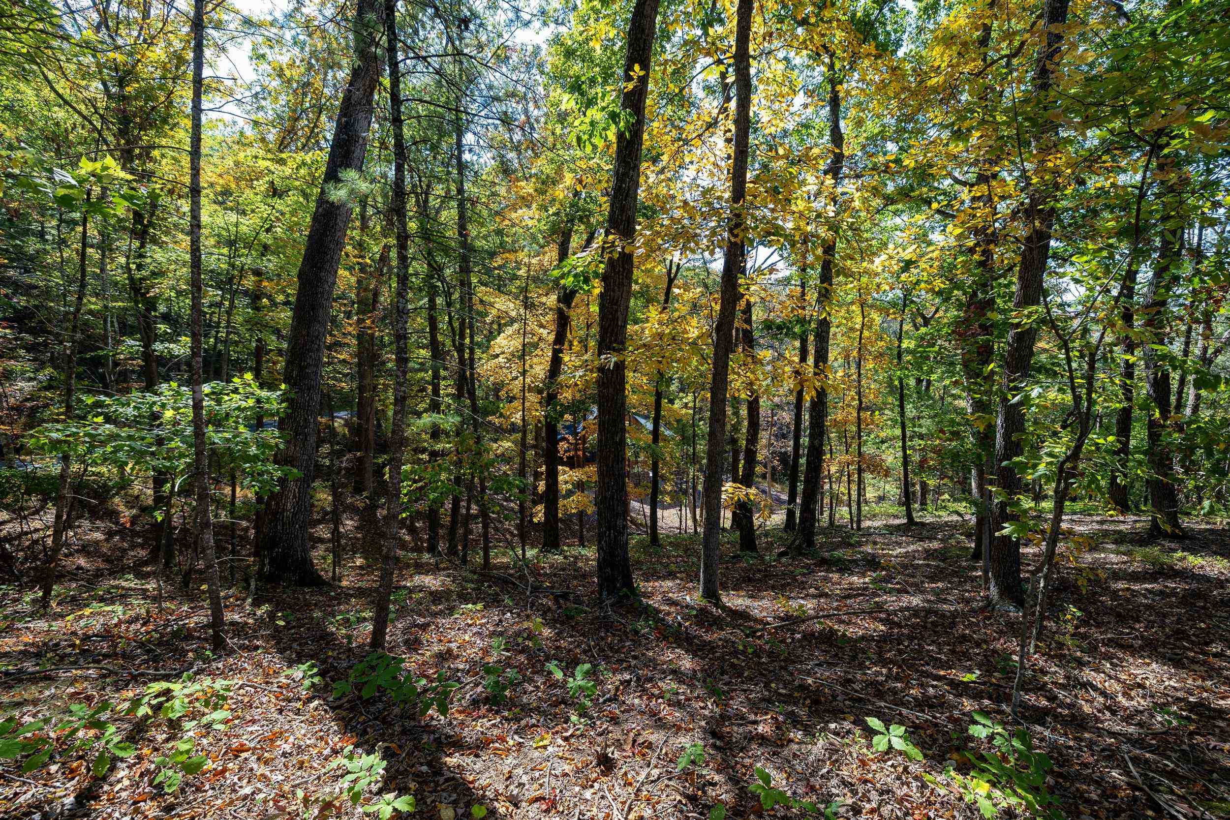 0 DAWN DR, BASYE, Virginia 22810, ,Land,0 DAWN DR,683140 MLS # 683140