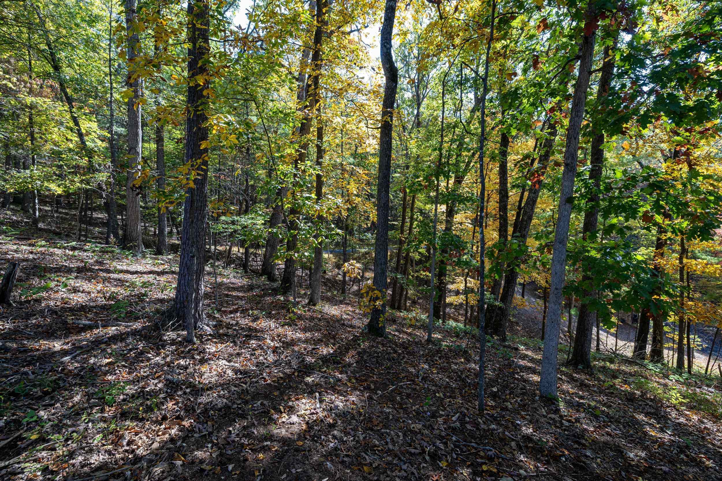 0 DAWN DR, BASYE, Virginia 22810, ,Land,0 DAWN DR,683140 MLS # 683140