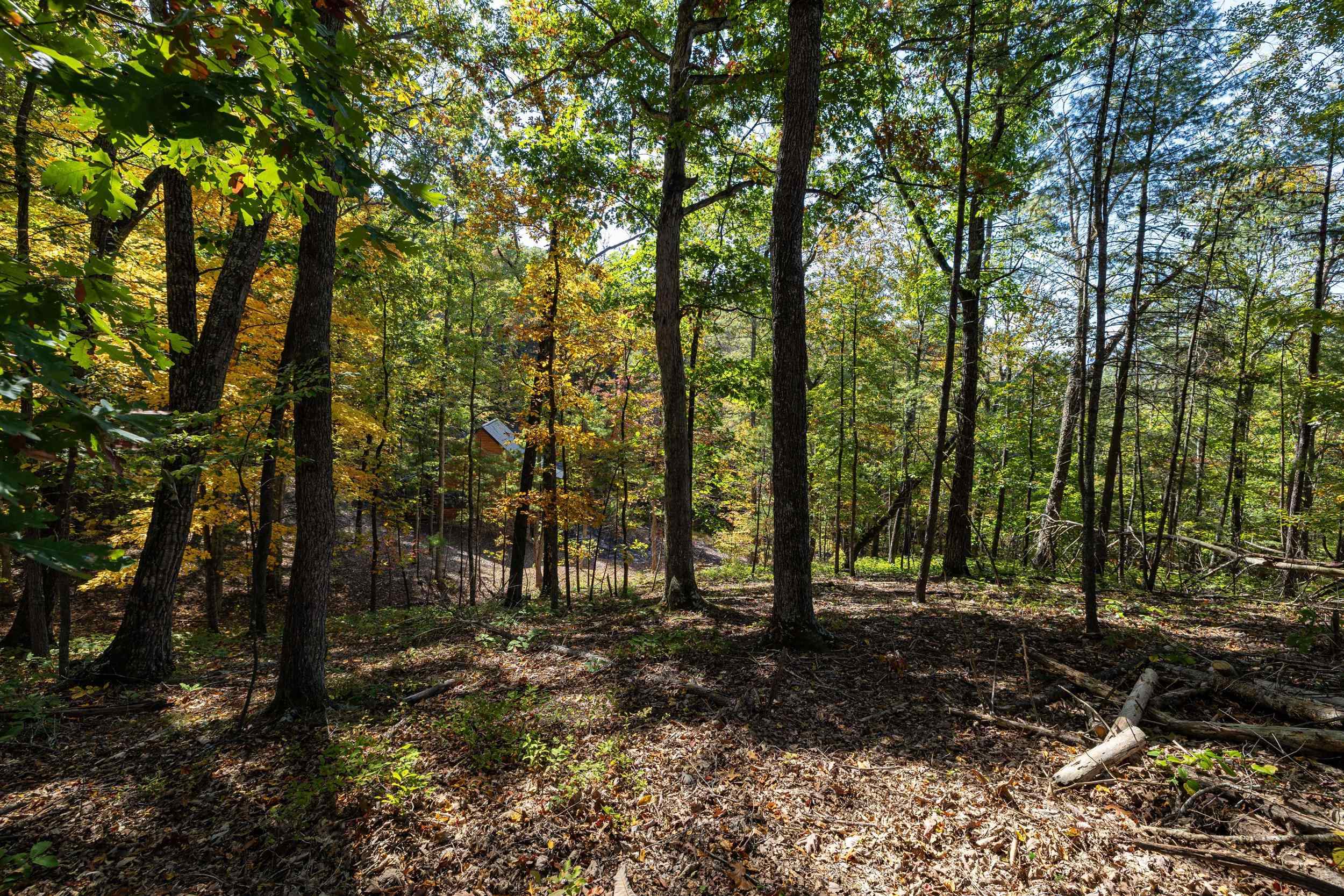 0 DAWN DR, BASYE, Virginia 22810, ,Land,0 DAWN DR,683140 MLS # 683140