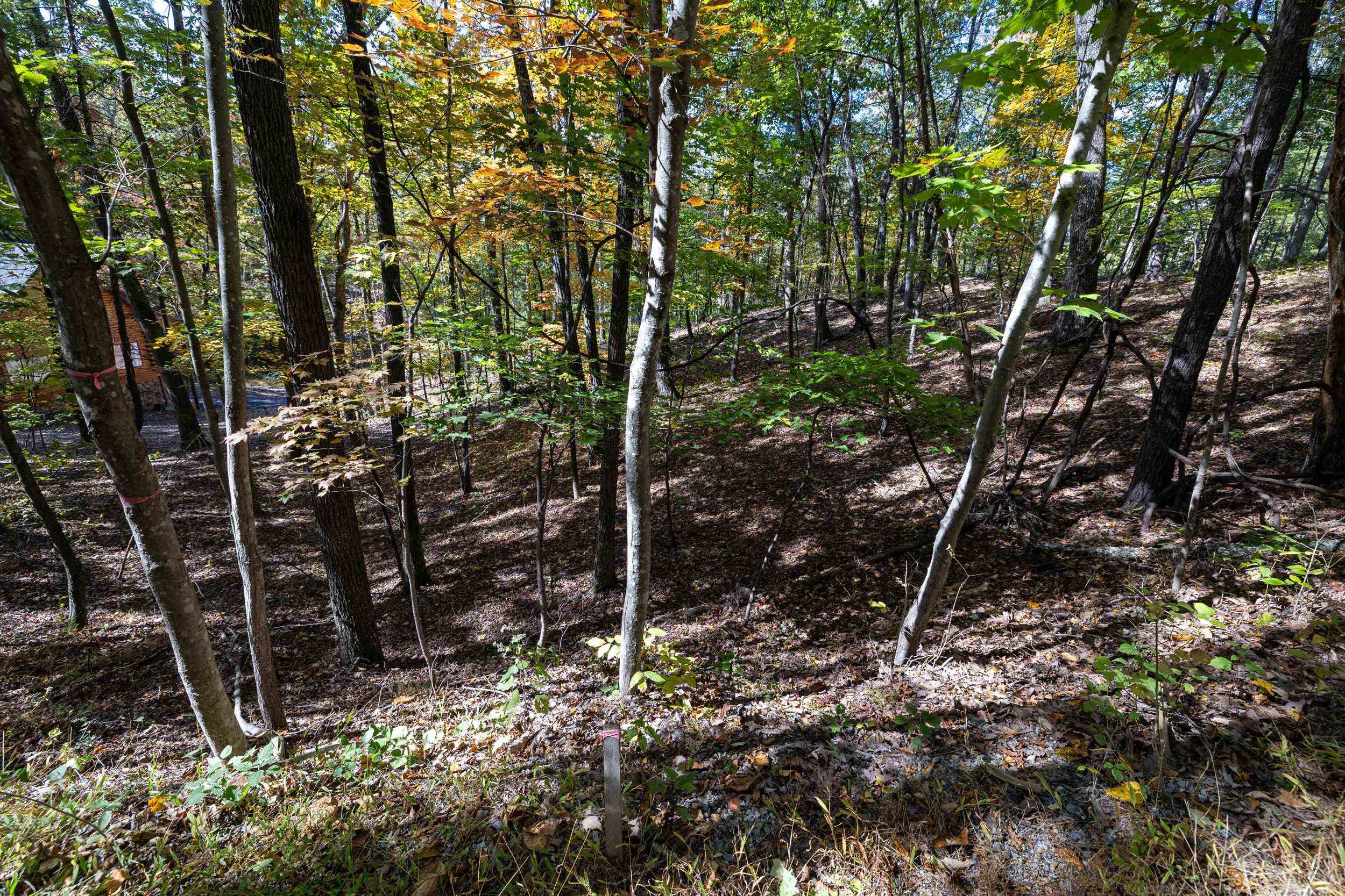 0 DAWN DR, BASYE, Virginia 22810, ,Land,0 DAWN DR,683140 MLS # 683140