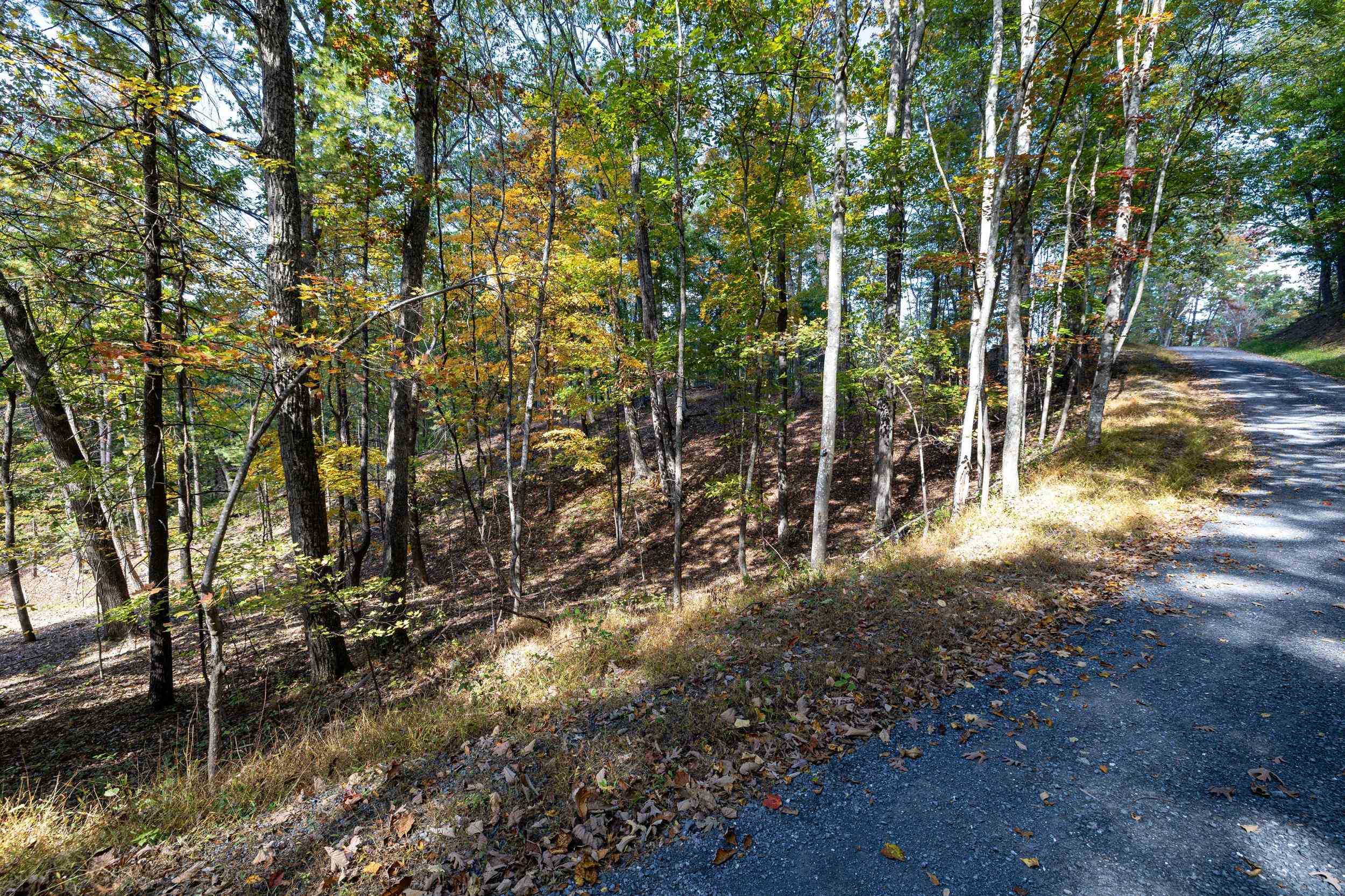 0 DAWN DR, BASYE, Virginia 22810, ,Land,0 DAWN DR,683140 MLS # 683140