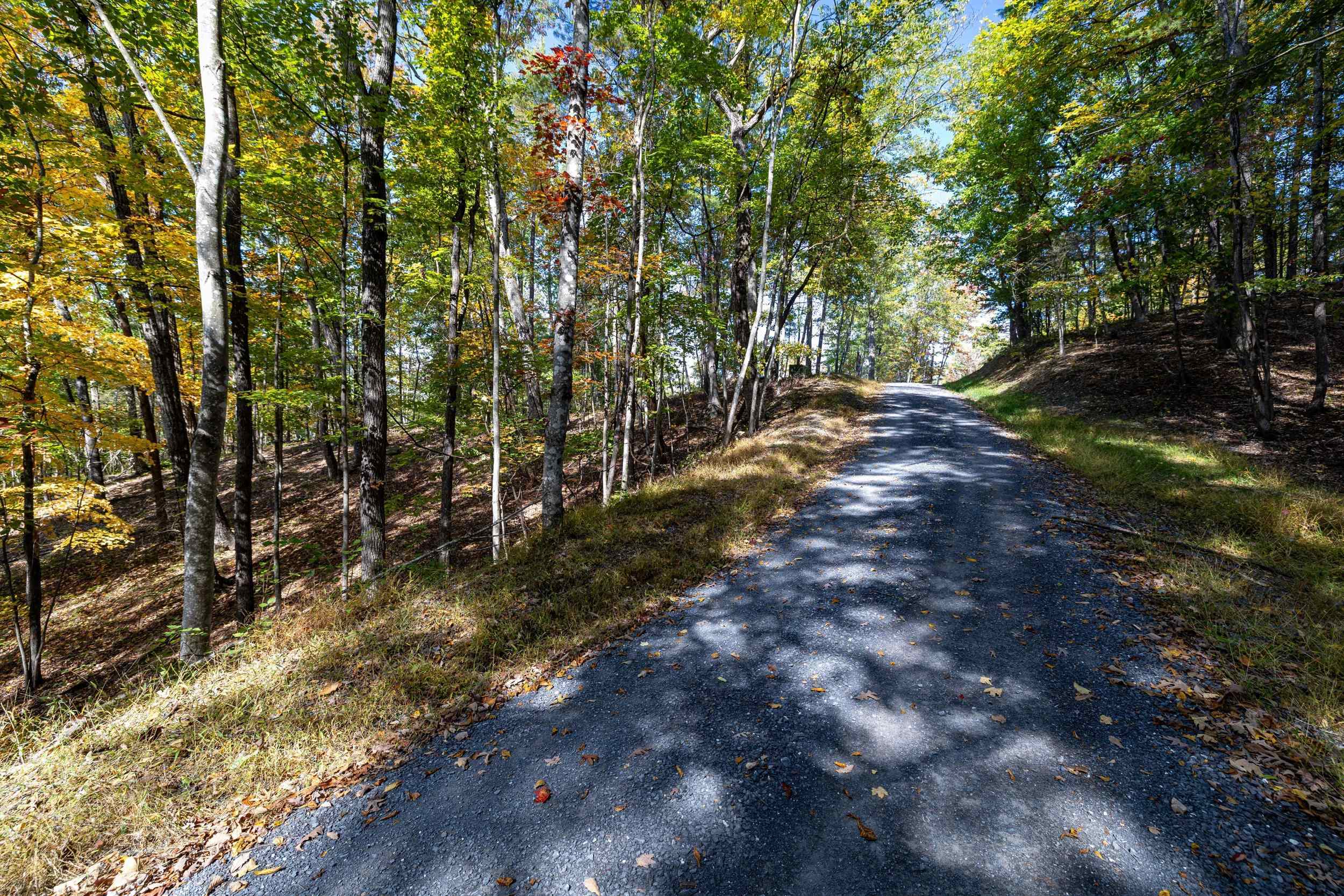 0 DAWN DR, BASYE, Virginia 22810, ,Land,0 DAWN DR,683140 MLS # 683140