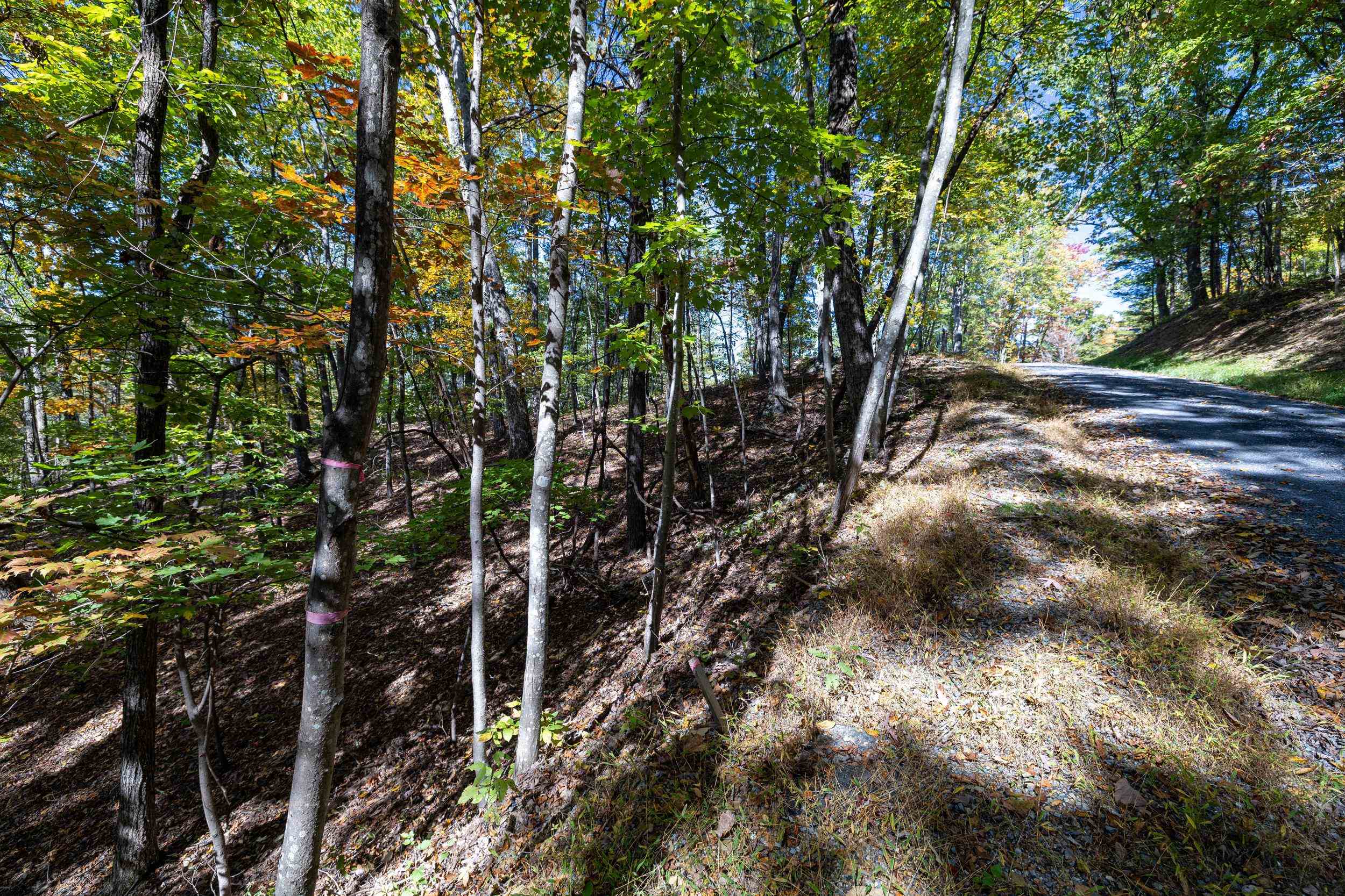 0 DAWN DR, BASYE, Virginia 22810, ,Land,0 DAWN DR,683140 MLS # 683140