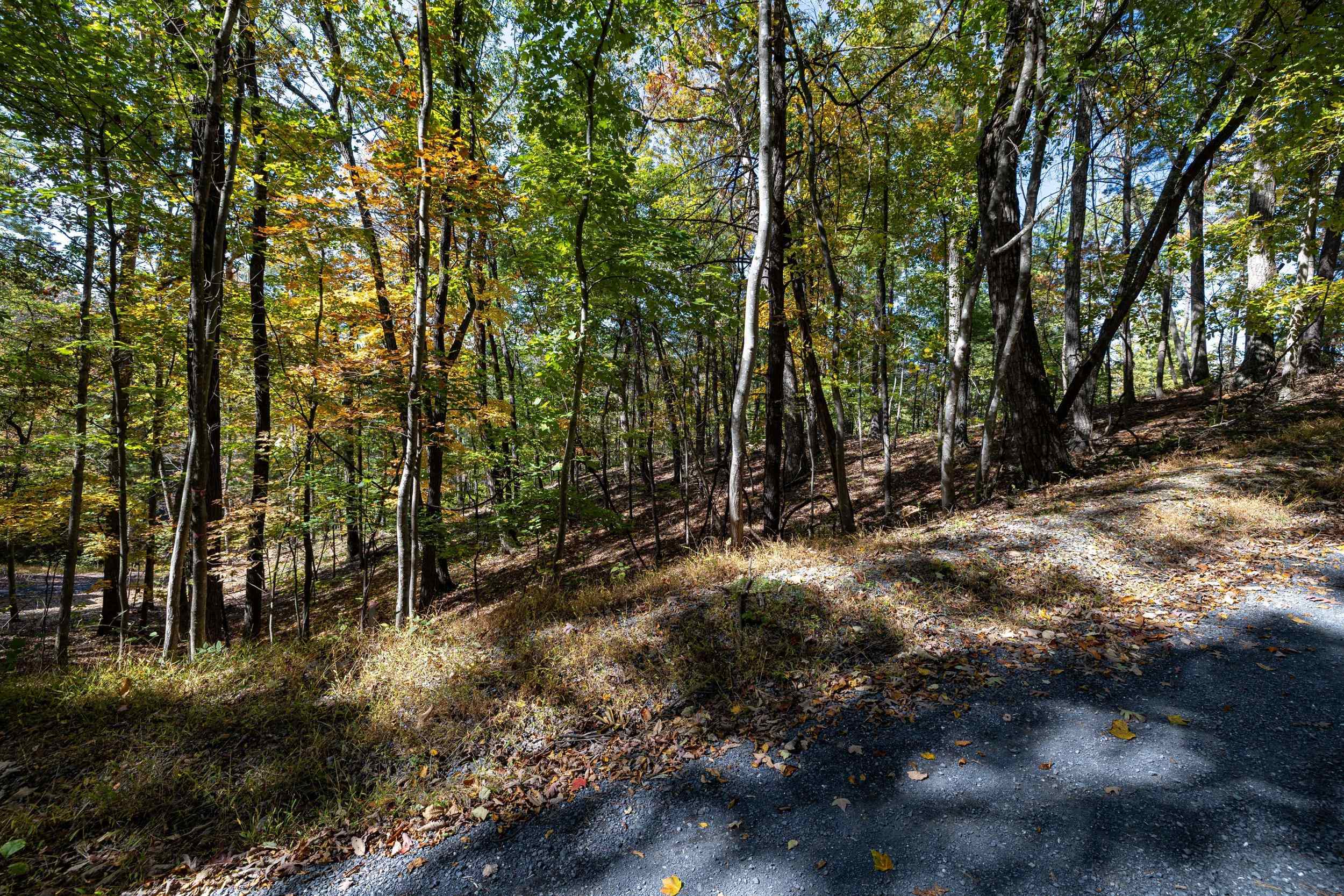 0 DAWN DR, BASYE, Virginia 22810, ,Land,0 DAWN DR,683140 MLS # 683140