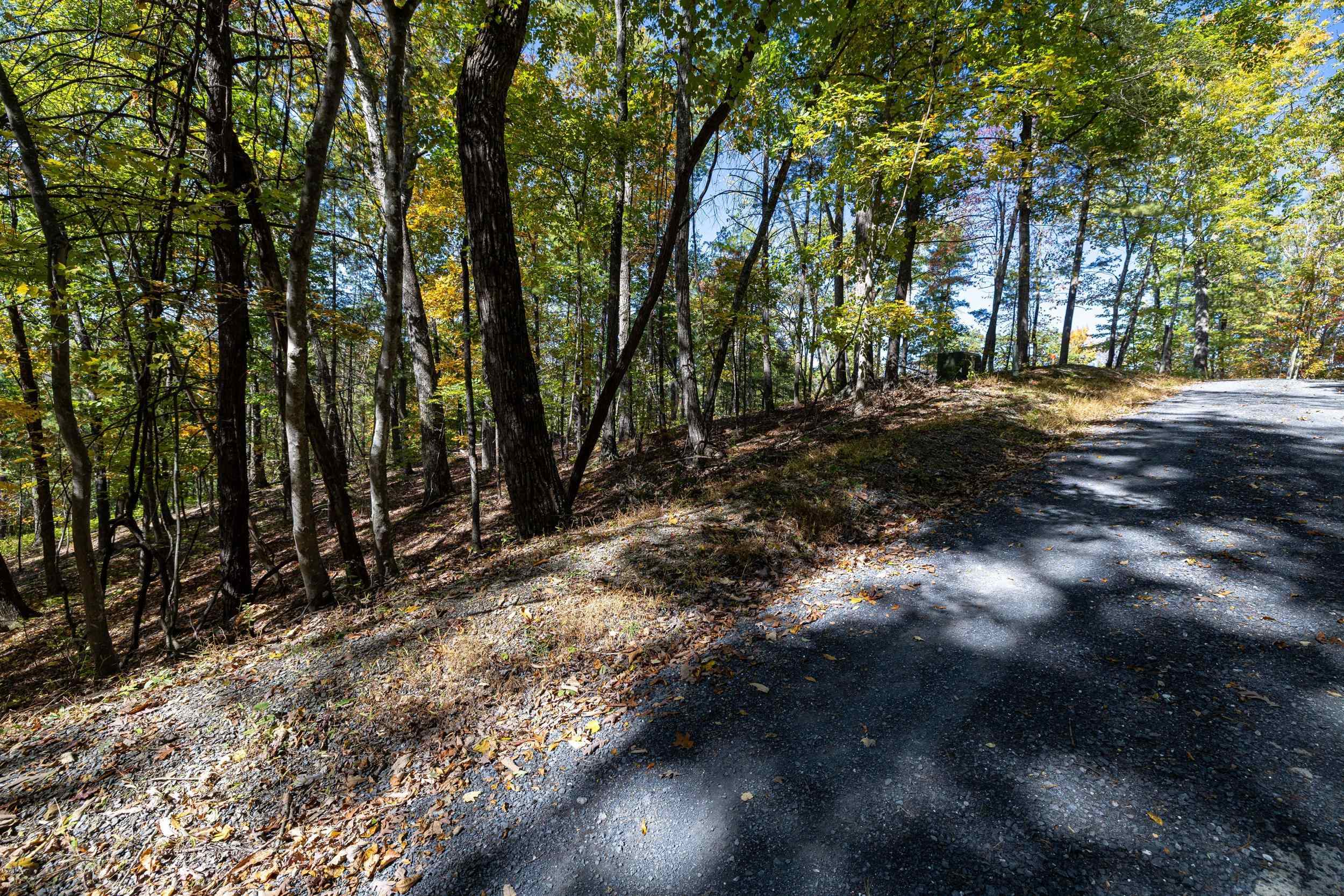 0 DAWN DR, BASYE, Virginia 22810, ,Land,0 DAWN DR,683140 MLS # 683140