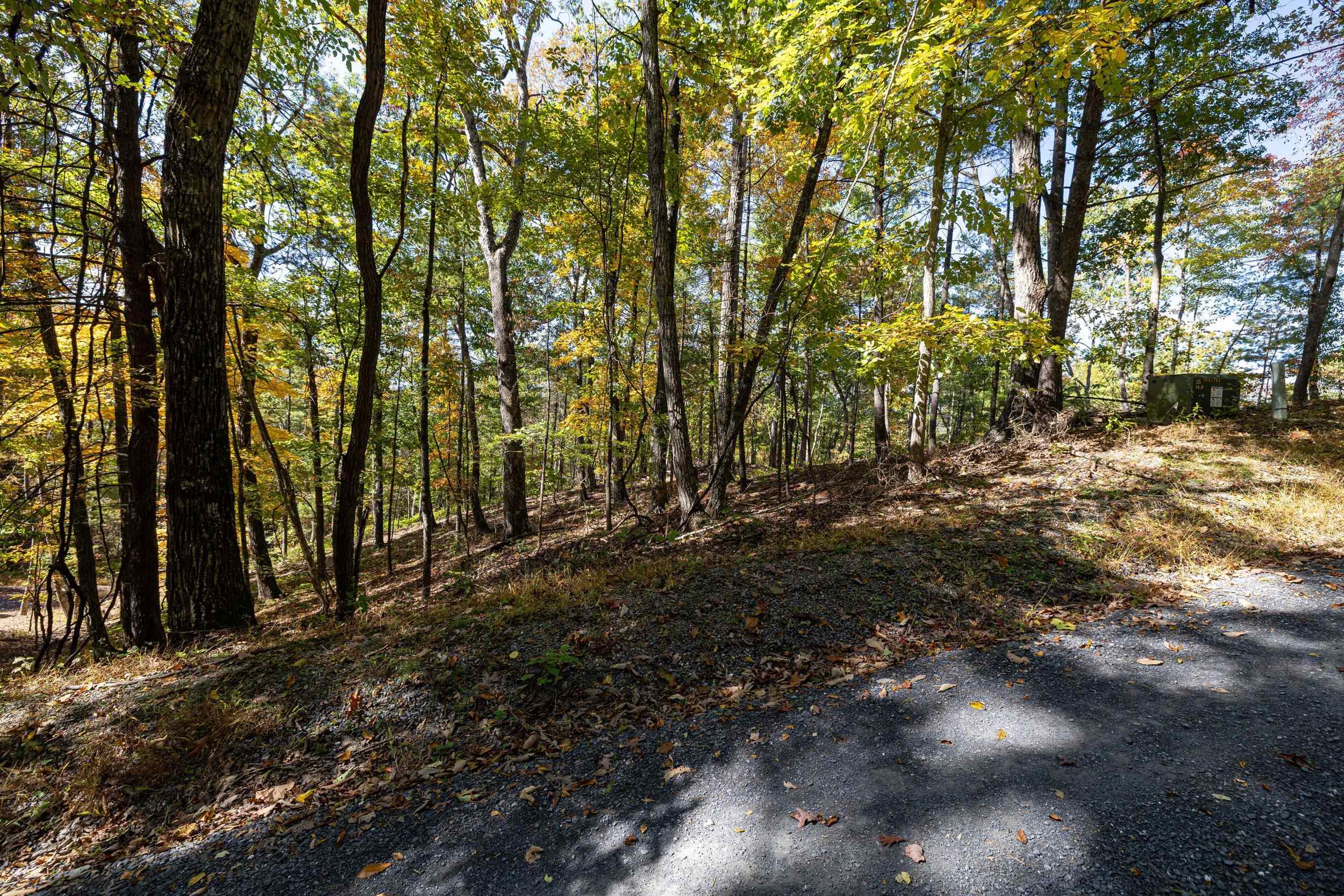 0 DAWN DR, BASYE, Virginia 22810, ,Land,0 DAWN DR,683140 MLS # 683140