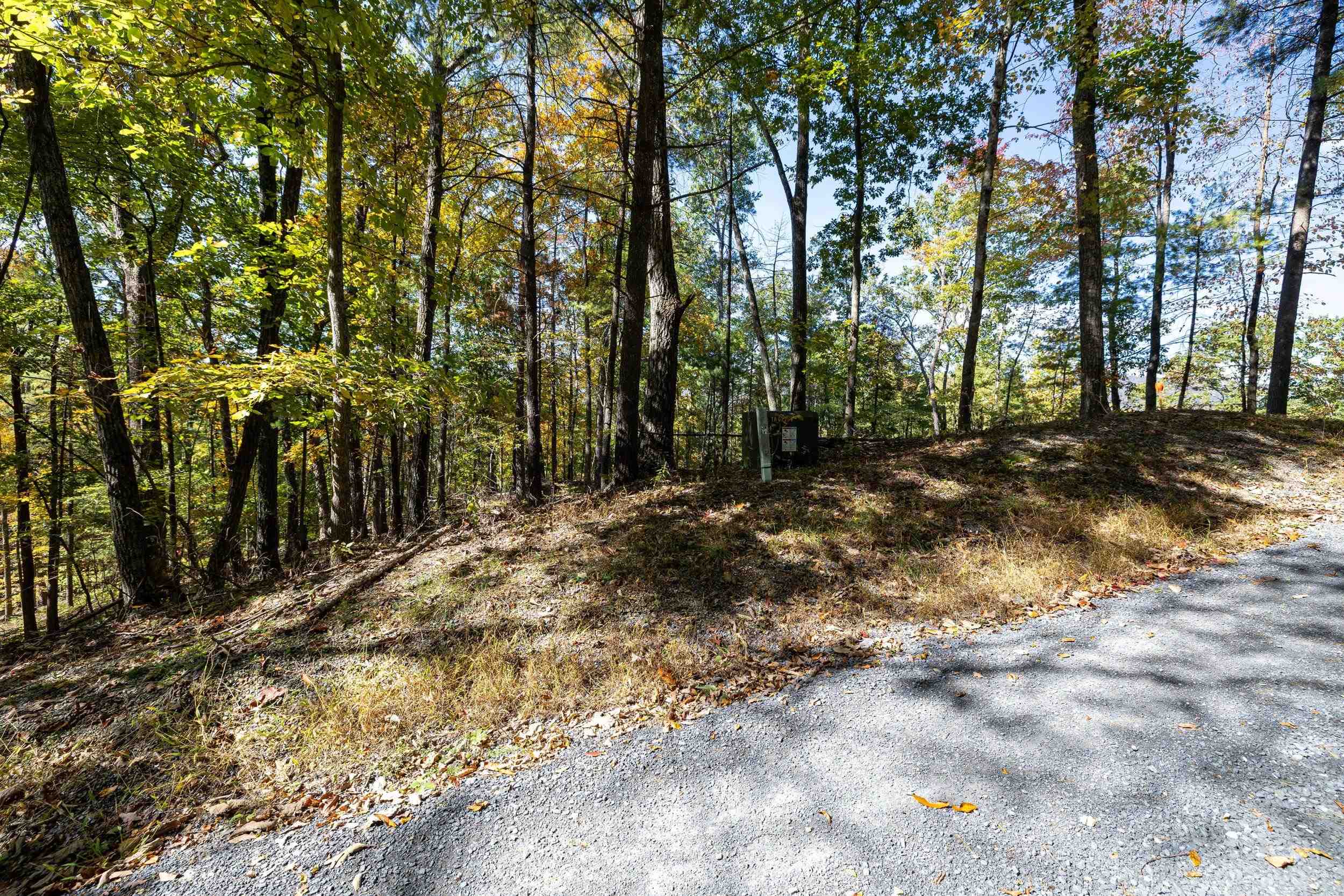 0 DAWN DR, BASYE, Virginia 22810, ,Land,0 DAWN DR,683140 MLS # 683140