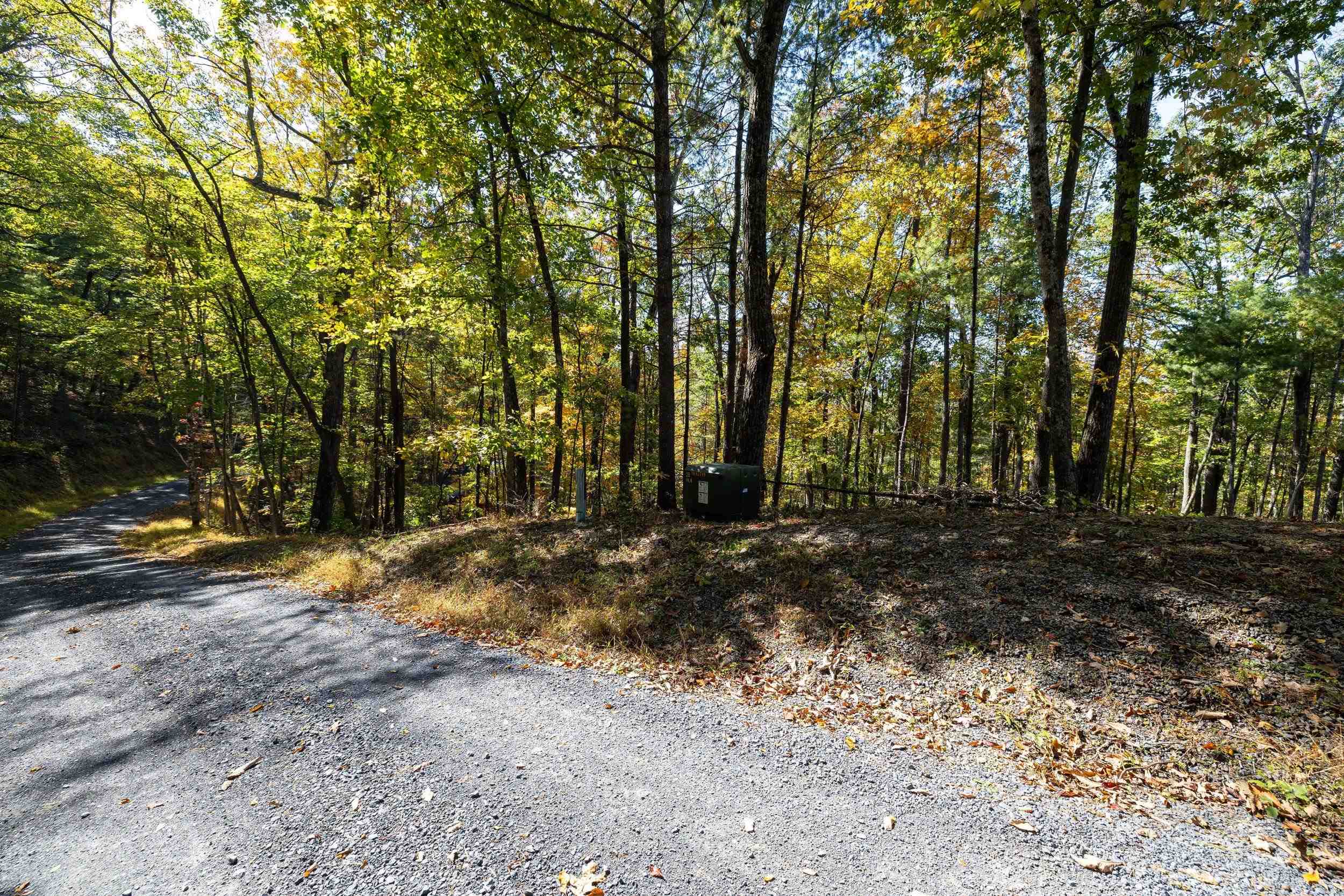 0 DAWN DR, BASYE, Virginia 22810, ,Land,0 DAWN DR,683140 MLS # 683140