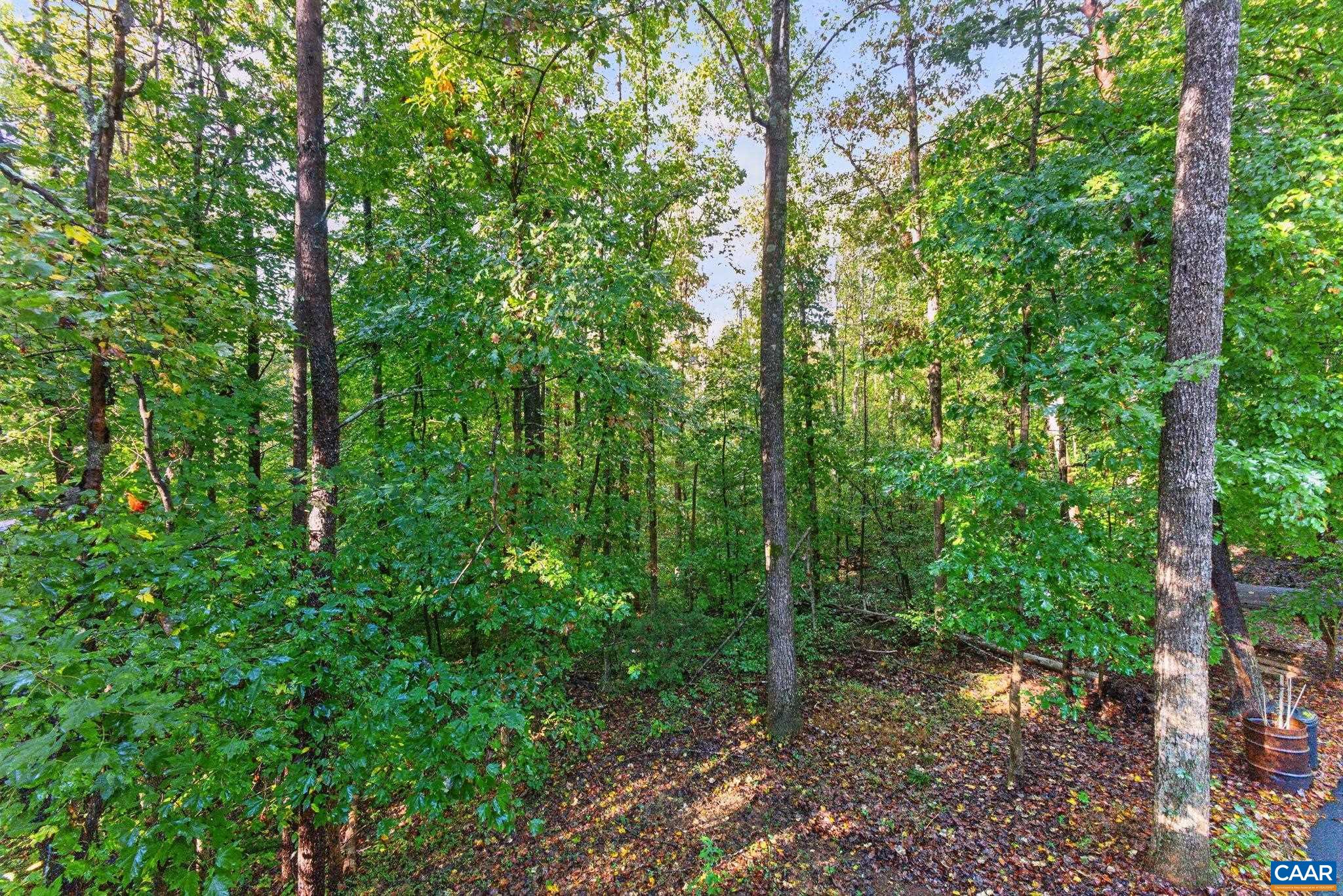 2157 SCLATERS FORD RD, PALMYRA, Virginia 22963, 3 Bedrooms Bedrooms, ,2 BathroomsBathrooms,Residential,2157 SCLATERS FORD RD,682930 MLS # 682930 2157 SCLATERS FORD RD, PALMYRA, Virginia 22963, 3 Bedrooms Bedrooms, ,2 BathroomsBathrooms,Residential,2157 SCLATERS FORD RD,682930 MLS # 682930