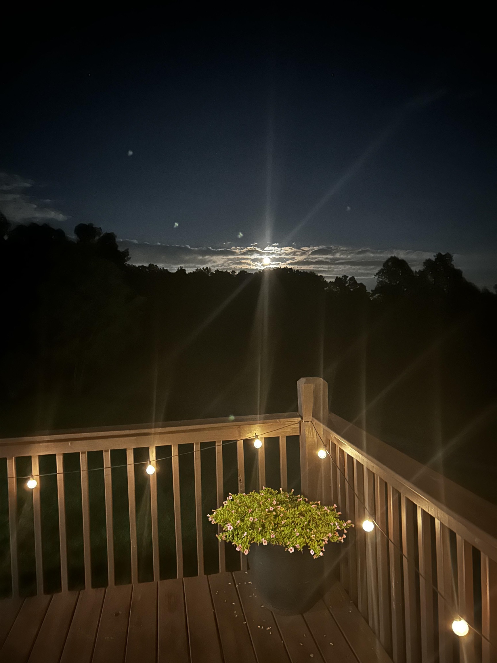 733 CHESTNUT RIDGE RD, STAUNTON, Virginia 24401, 4 Bedrooms Bedrooms, ,3 BathroomsBathrooms,Residential,733 CHESTNUT RIDGE RD,683118 MLS # 683118 733 CHESTNUT RIDGE RD, STAUNTON, Virginia 24401, 4 Bedrooms Bedrooms, ,3 BathroomsBathrooms,Residential,733 CHESTNUT RIDGE RD,683118 MLS # 683118