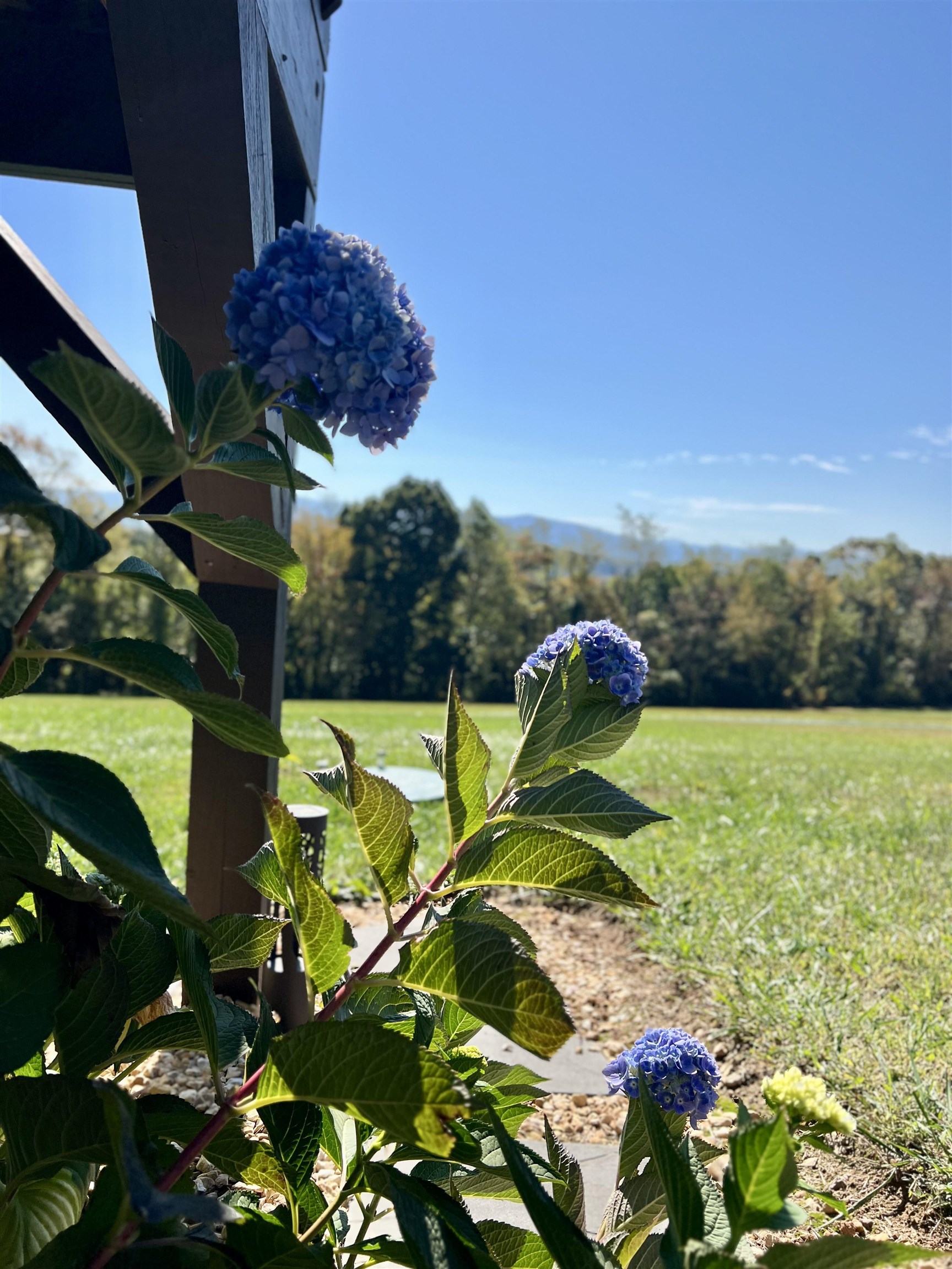 733 CHESTNUT RIDGE RD, STAUNTON, Virginia 24401, 4 Bedrooms Bedrooms, ,3 BathroomsBathrooms,Residential,733 CHESTNUT RIDGE RD,683118 MLS # 683118 733 CHESTNUT RIDGE RD, STAUNTON, Virginia 24401, 4 Bedrooms Bedrooms, ,3 BathroomsBathrooms,Residential,733 CHESTNUT RIDGE RD,683118 MLS # 683118
