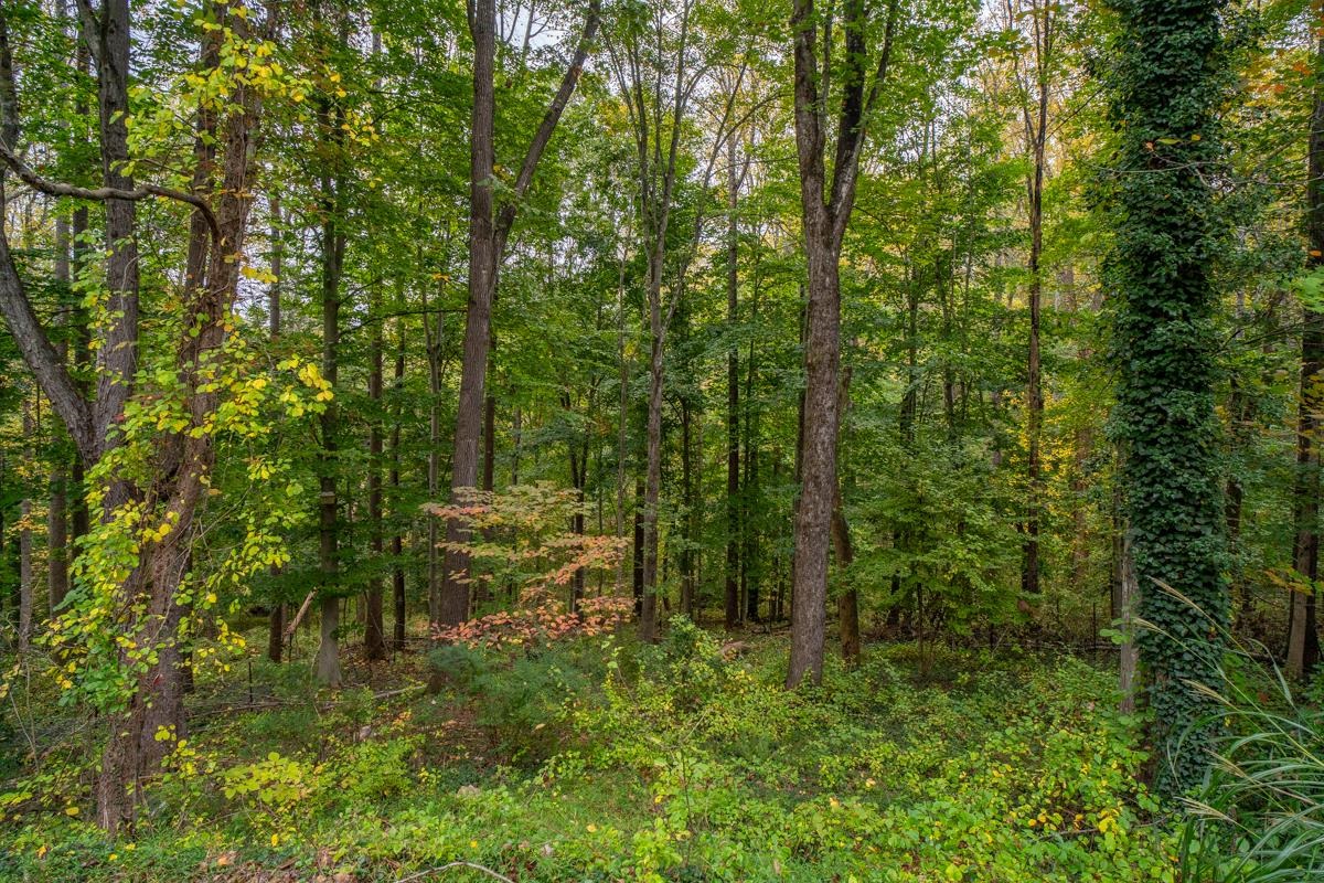 1544 OVERLOOK DR, CHARLOTTESVILLE, Virginia 22903, 3 Bedrooms Bedrooms, ,2 BathroomsBathrooms,Residential,1544 OVERLOOK DR,683142 MLS # 683142 1544 OVERLOOK DR, CHARLOTTESVILLE, Virginia 22903, 3 Bedrooms Bedrooms, ,2 BathroomsBathrooms,Residential,1544 OVERLOOK DR,683142 MLS # 683142