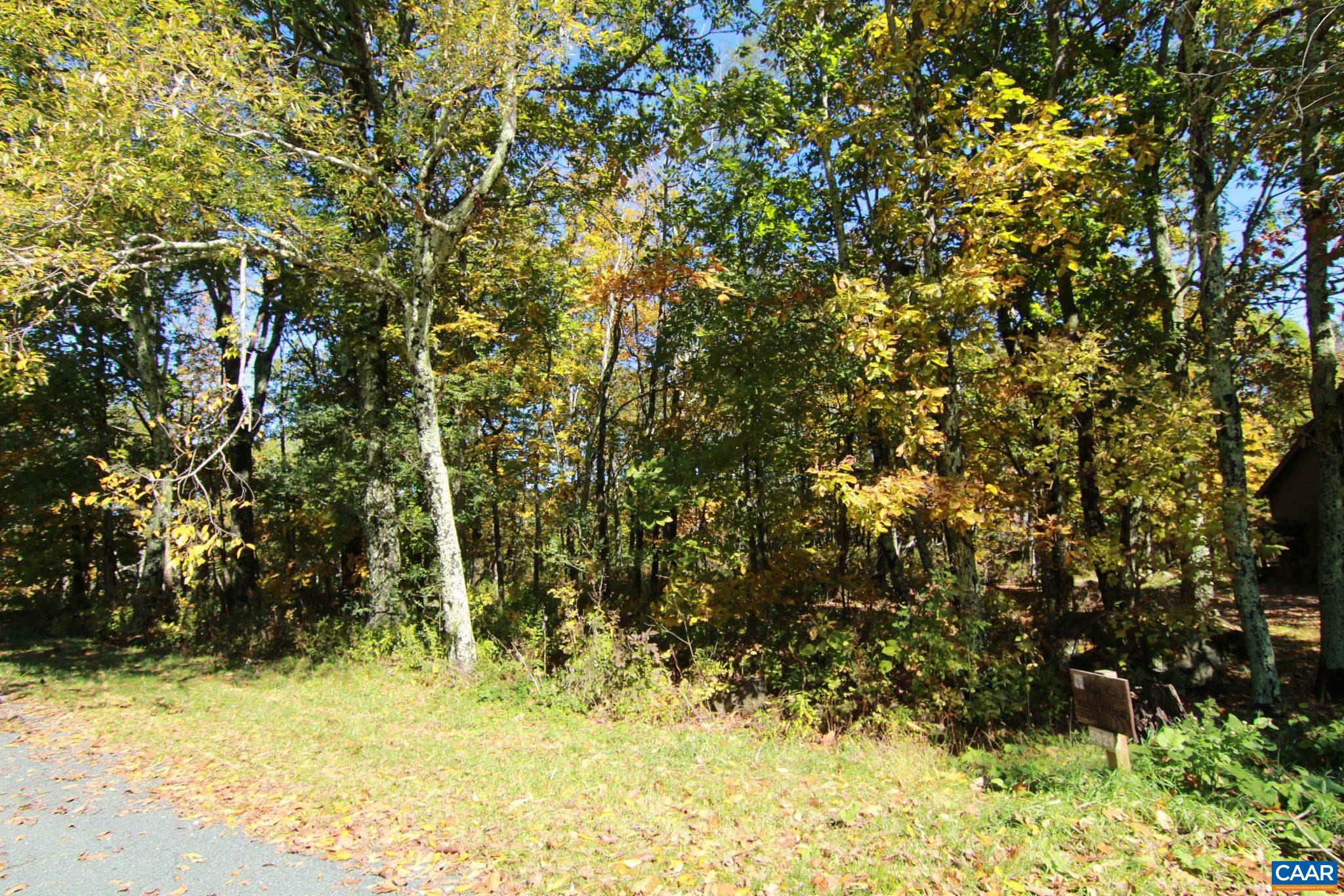1154 DEVILS KNOB LOOP, ROSELAND, Virginia 22967, ,Land,1154 DEVILS KNOB LOOP,683148 MLS # 683148