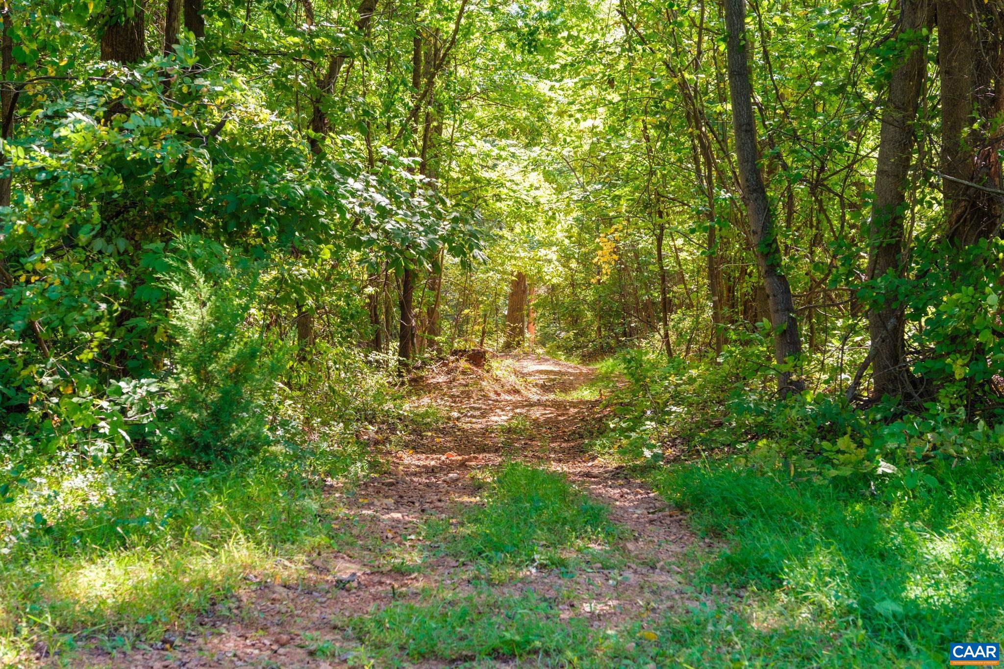 GREENWOOD HOLLOW, GREENWOOD, Virginia 22943, ,Land,GREENWOOD HOLLOW,683150 MLS # 683150