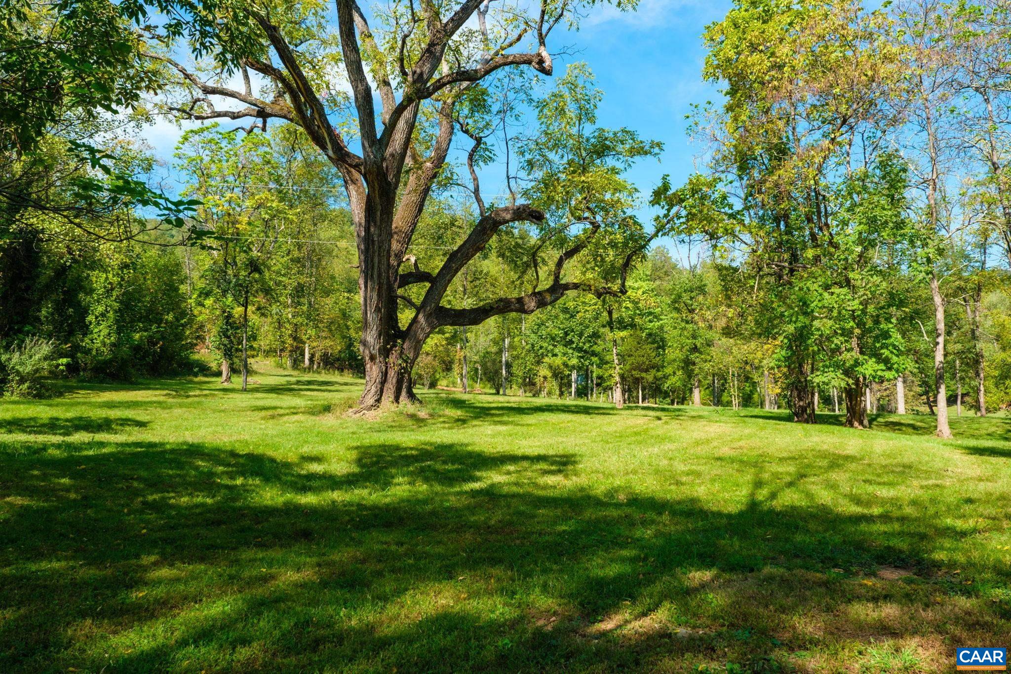 GREENWOOD HOLLOW, GREENWOOD, Virginia 22943, ,Land,GREENWOOD HOLLOW,683150 MLS # 683150