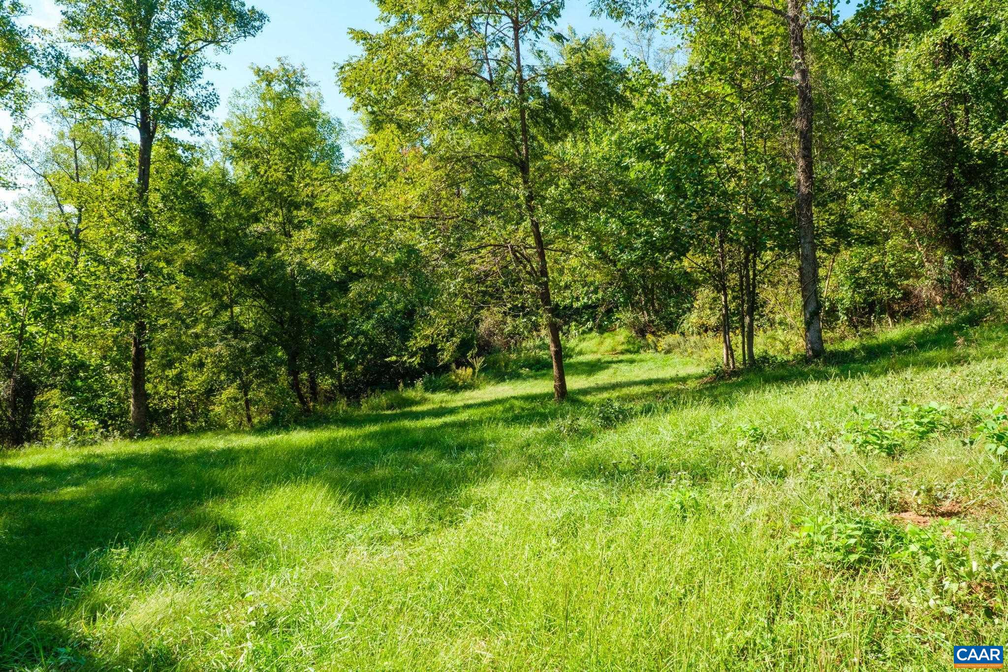 GREENWOOD HOLLOW, GREENWOOD, Virginia 22943, ,Land,GREENWOOD HOLLOW,683150 MLS # 683150