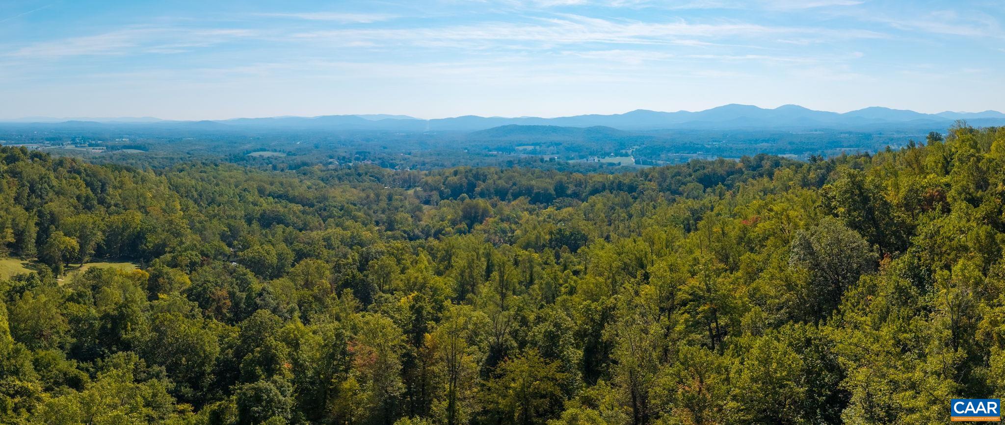 GREENWOOD HOLLOW, GREENWOOD, Virginia 22943, ,Land,GREENWOOD HOLLOW,683150 MLS # 683150