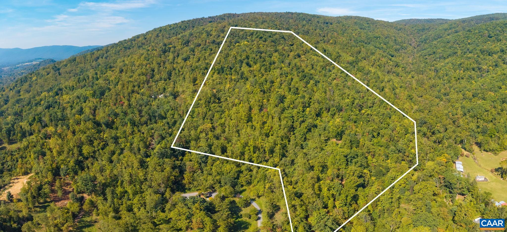 GREENWOOD HOLLOW, GREENWOOD, Virginia 22943, ,Land,GREENWOOD HOLLOW,683150 MLS # 683150