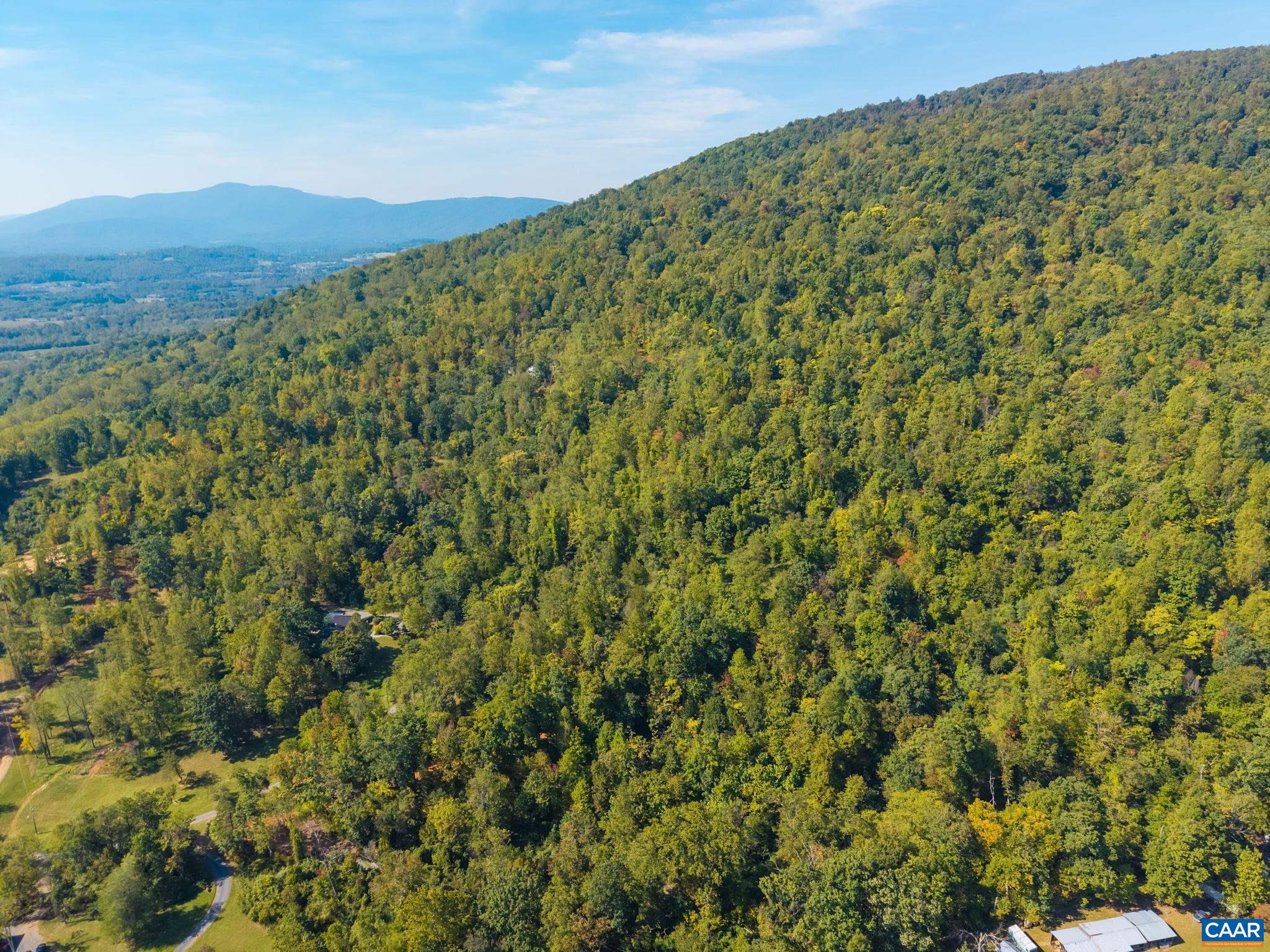 GREENWOOD HOLLOW, GREENWOOD, Virginia 22943, ,Land,GREENWOOD HOLLOW,683150 MLS # 683150