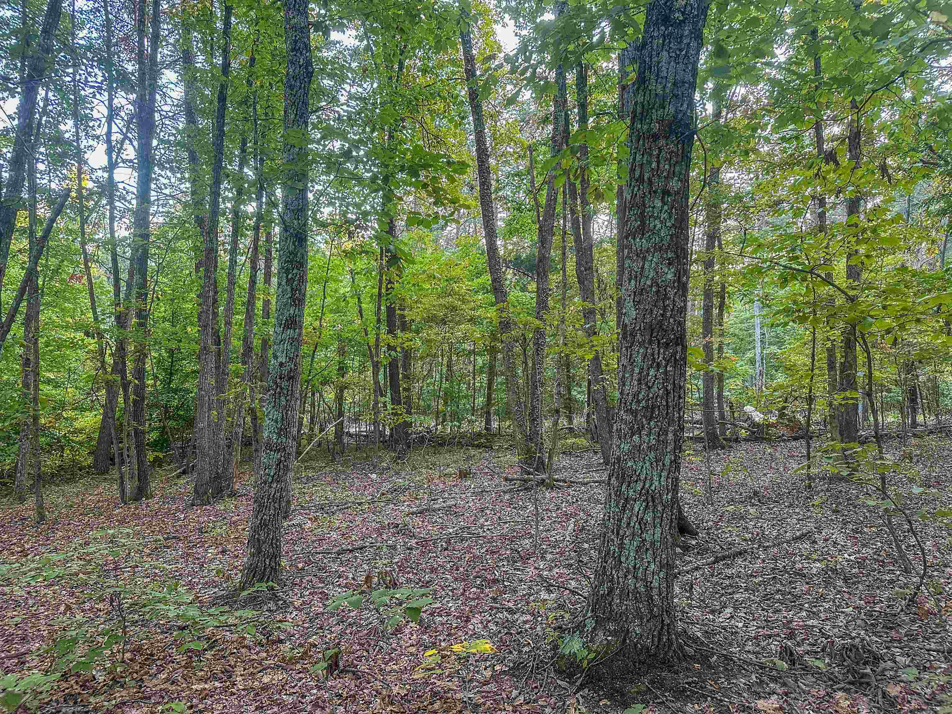 TBD JAMES MADISON HWY, BREMO BLUFF, Virginia 23022, ,Land,TBD JAMES MADISON HWY,683169 MLS # 683169 TBD JAMES MADISON HWY, BREMO BLUFF, Virginia 23022, ,Land,TBD JAMES MADISON HWY,683169 MLS # 683169