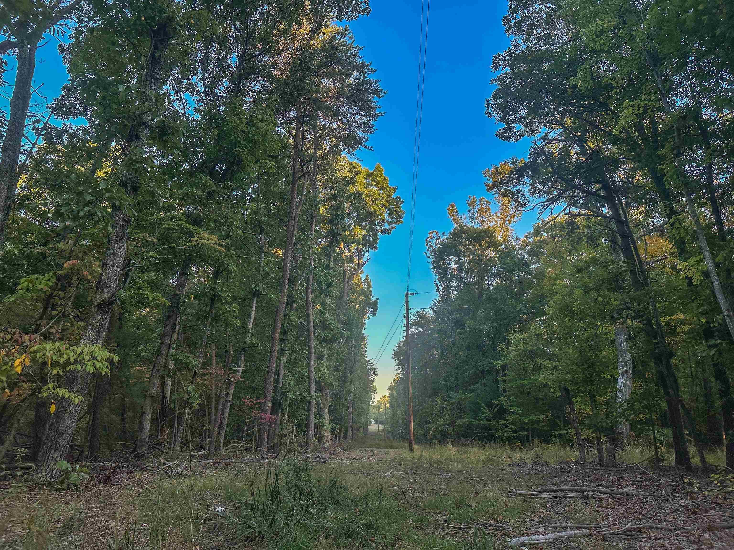 TBD JAMES MADISON HWY, BREMO BLUFF, Virginia 23022, ,Land,TBD JAMES MADISON HWY,683169 MLS # 683169 TBD JAMES MADISON HWY, BREMO BLUFF, Virginia 23022, ,Land,TBD JAMES MADISON HWY,683169 MLS # 683169