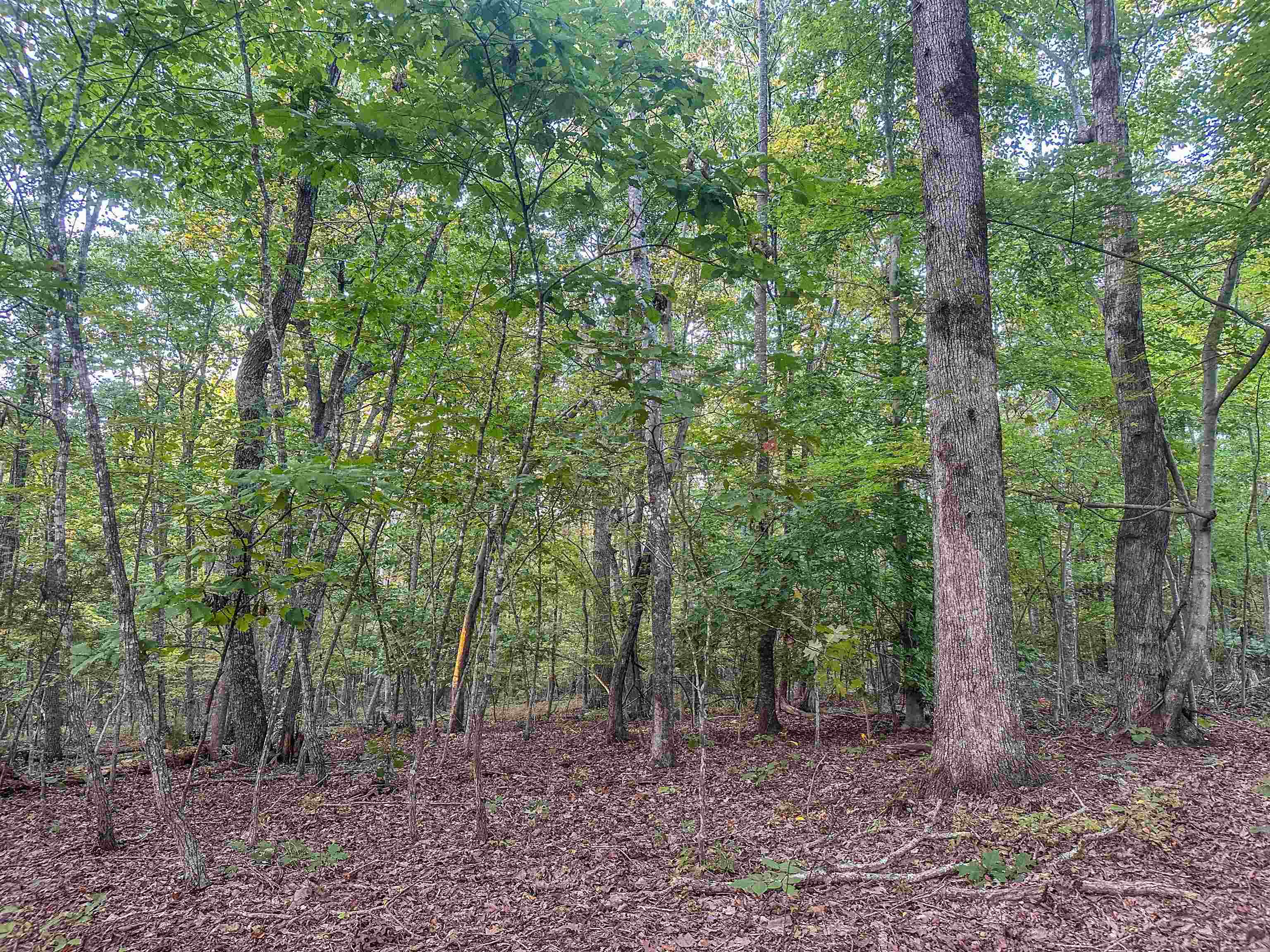 TBD JAMES MADISON HWY, BREMO BLUFF, Virginia 23022, ,Land,TBD JAMES MADISON HWY,683169 MLS # 683169 TBD JAMES MADISON HWY, BREMO BLUFF, Virginia 23022, ,Land,TBD JAMES MADISON HWY,683169 MLS # 683169
