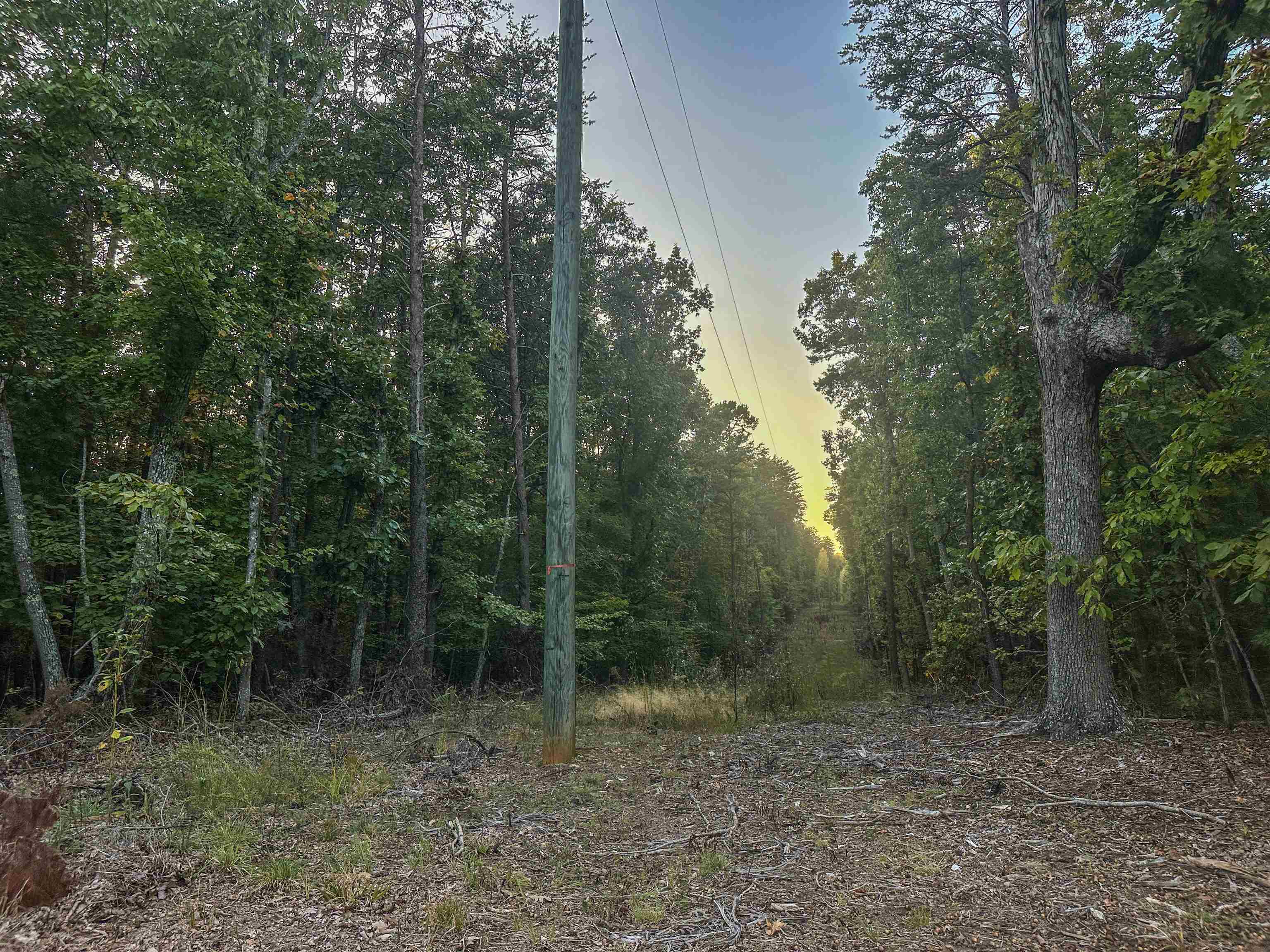 TBD JAMES MADISON HWY, BREMO BLUFF, Virginia 23022, ,Land,TBD JAMES MADISON HWY,683169 MLS # 683169 TBD JAMES MADISON HWY, BREMO BLUFF, Virginia 23022, ,Land,TBD JAMES MADISON HWY,683169 MLS # 683169