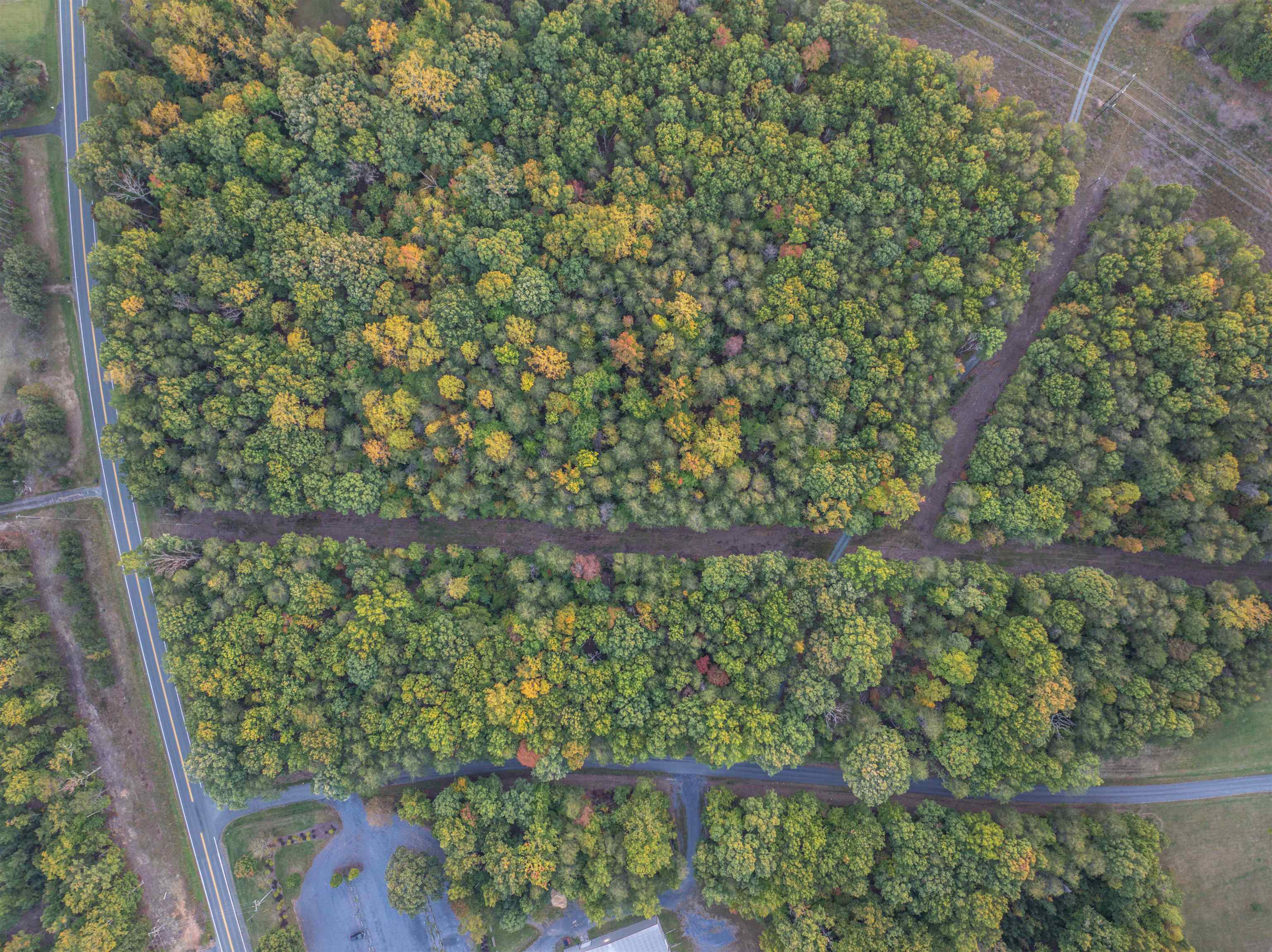 TBD JAMES MADISON HWY, BREMO BLUFF, Virginia 23022, ,Land,TBD JAMES MADISON HWY,683169 MLS # 683169 TBD JAMES MADISON HWY, BREMO BLUFF, Virginia 23022, ,Land,TBD JAMES MADISON HWY,683169 MLS # 683169