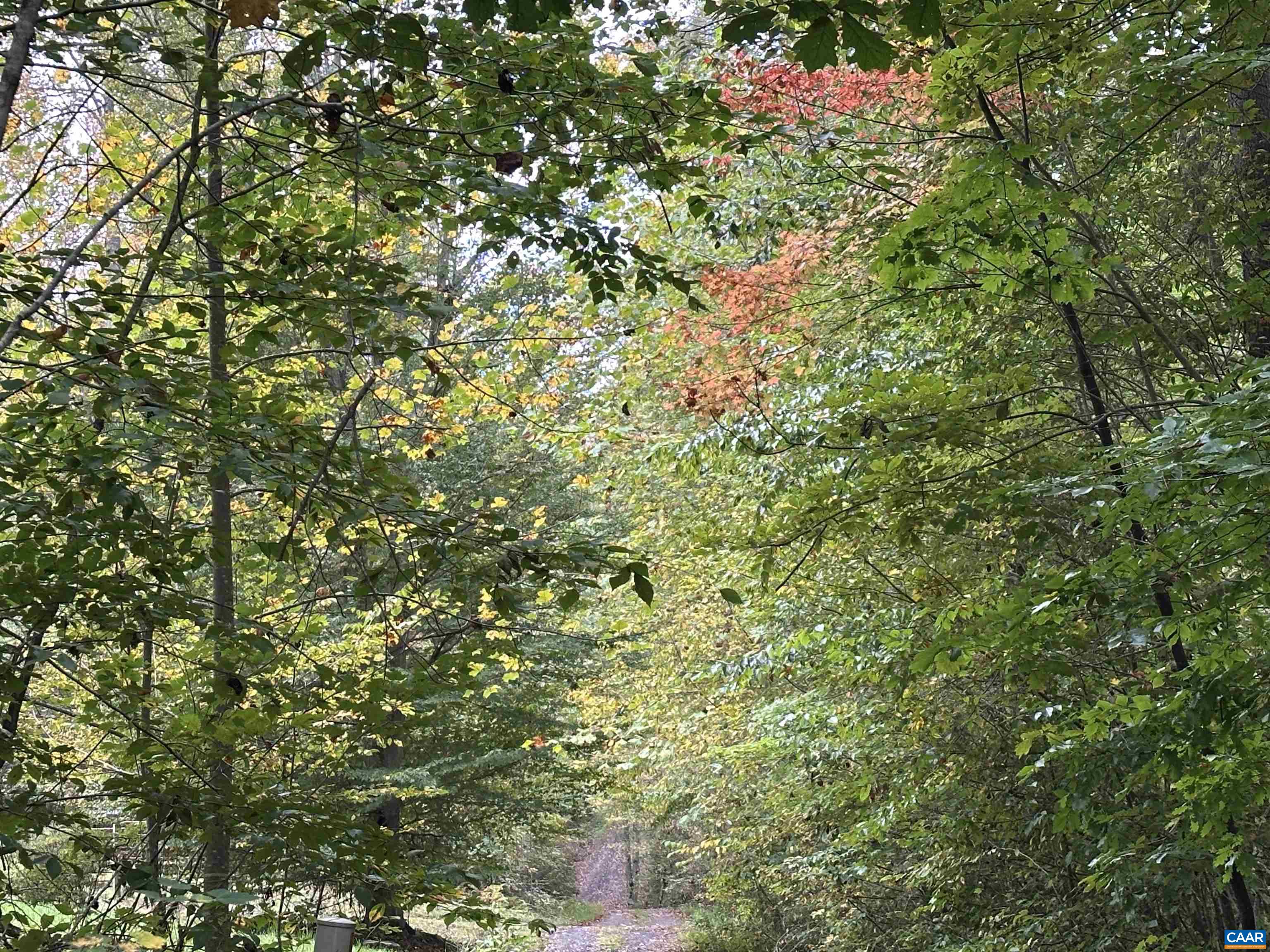 lot 2 FREDERICKSBURG RD, RUCKERSVILLE, Virginia 22968, ,Land,lot 2 FREDERICKSBURG RD,683183 MLS # 683183