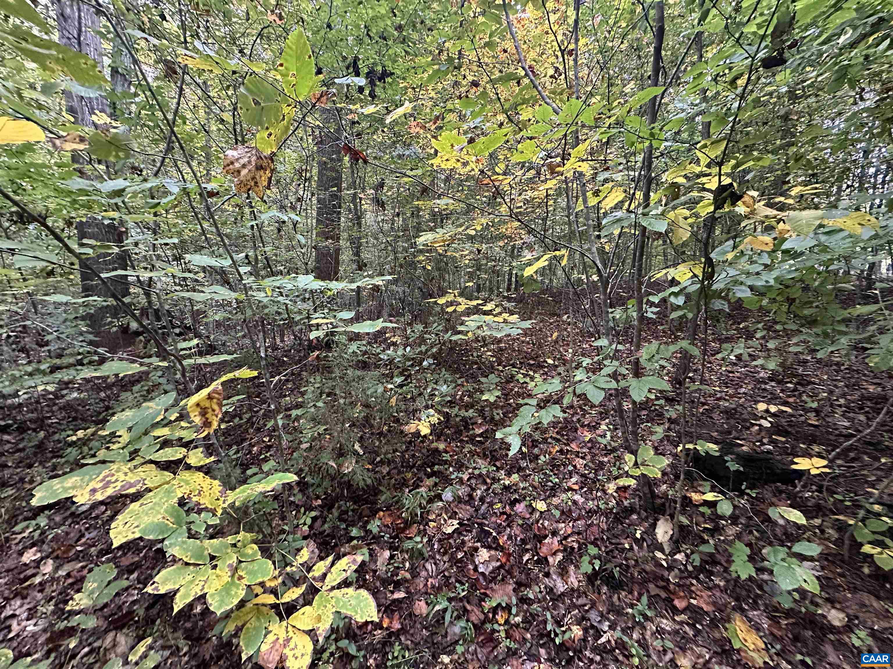 lot 2 FREDERICKSBURG RD, RUCKERSVILLE, Virginia 22968, ,Land,lot 2 FREDERICKSBURG RD,683183 MLS # 683183