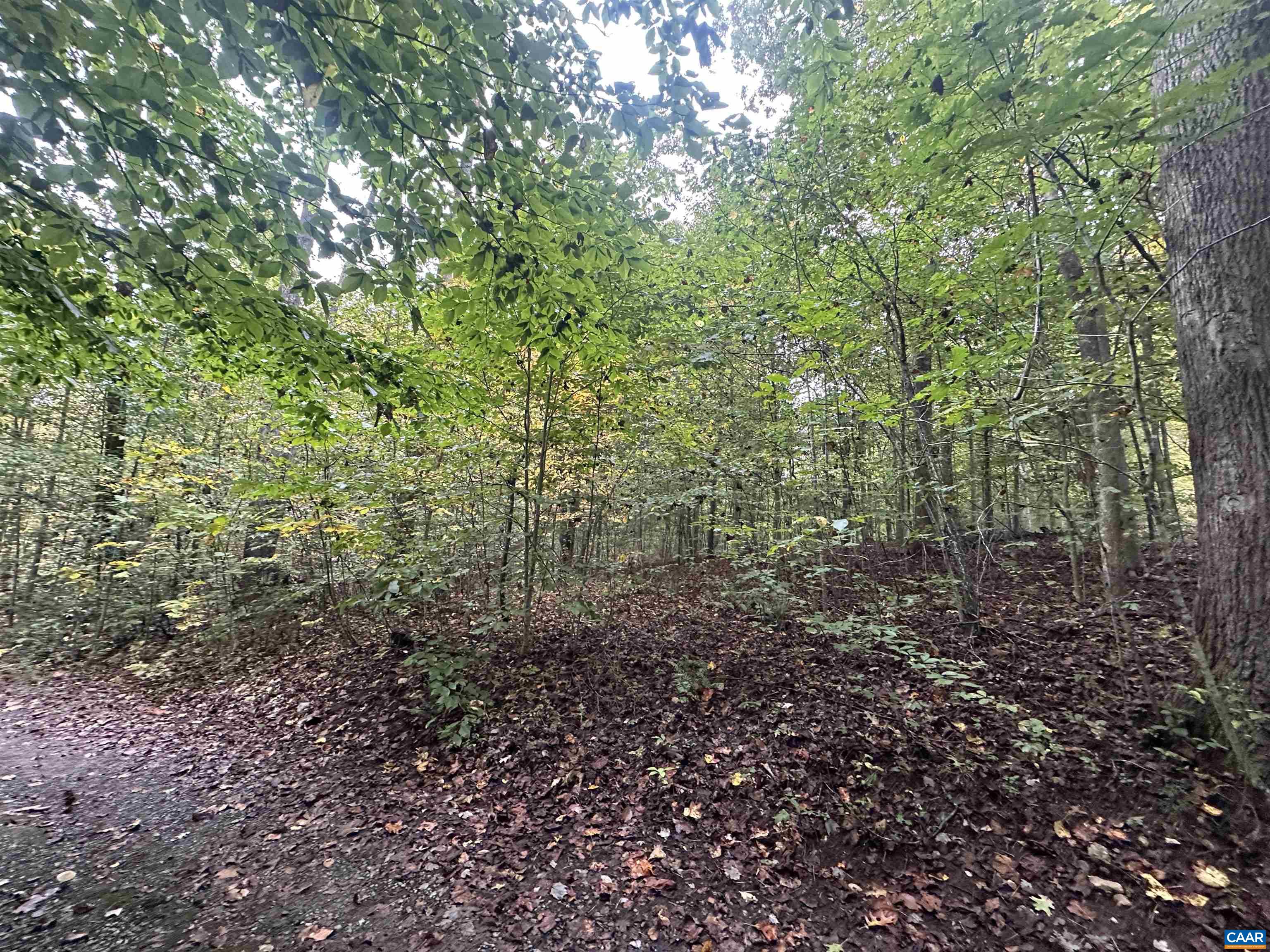 lot 2 FREDERICKSBURG RD, RUCKERSVILLE, Virginia 22968, ,Land,lot 2 FREDERICKSBURG RD,683183 MLS # 683183