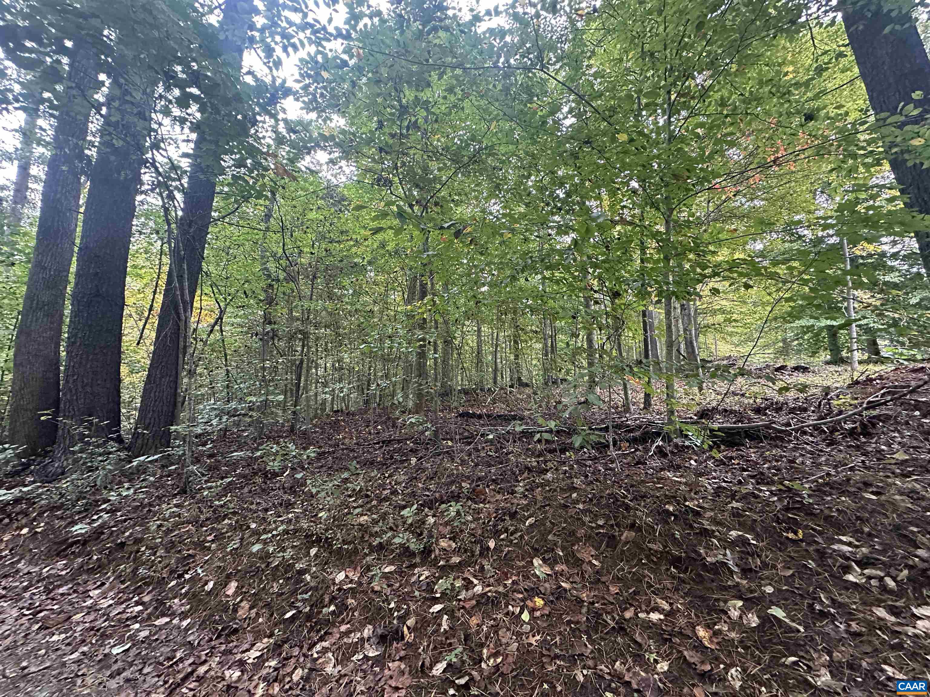 lot 2 FREDERICKSBURG RD, RUCKERSVILLE, Virginia 22968, ,Land,lot 2 FREDERICKSBURG RD,683183 MLS # 683183