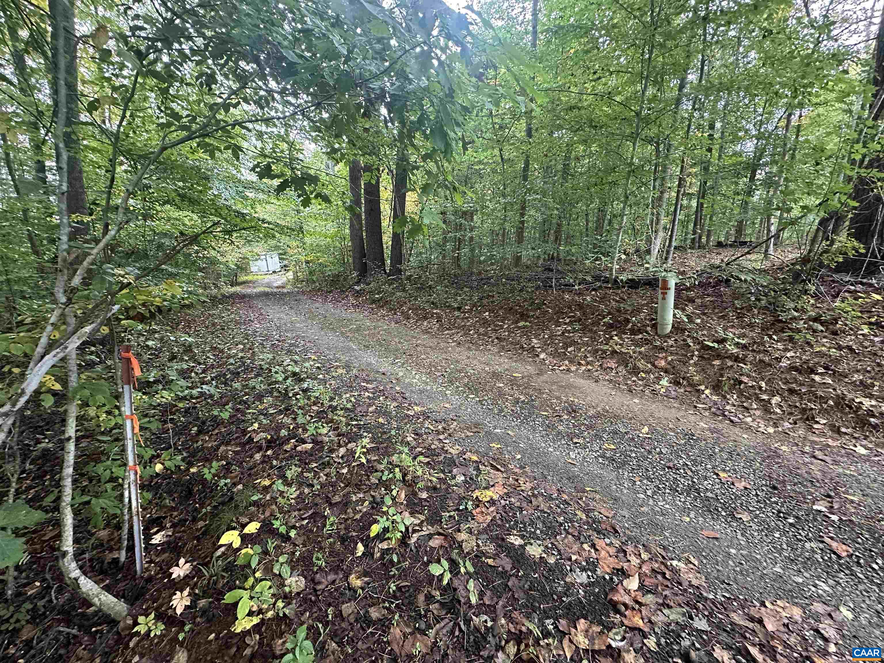 lot 2 FREDERICKSBURG RD, RUCKERSVILLE, Virginia 22968, ,Land,lot 2 FREDERICKSBURG RD,683183 MLS # 683183