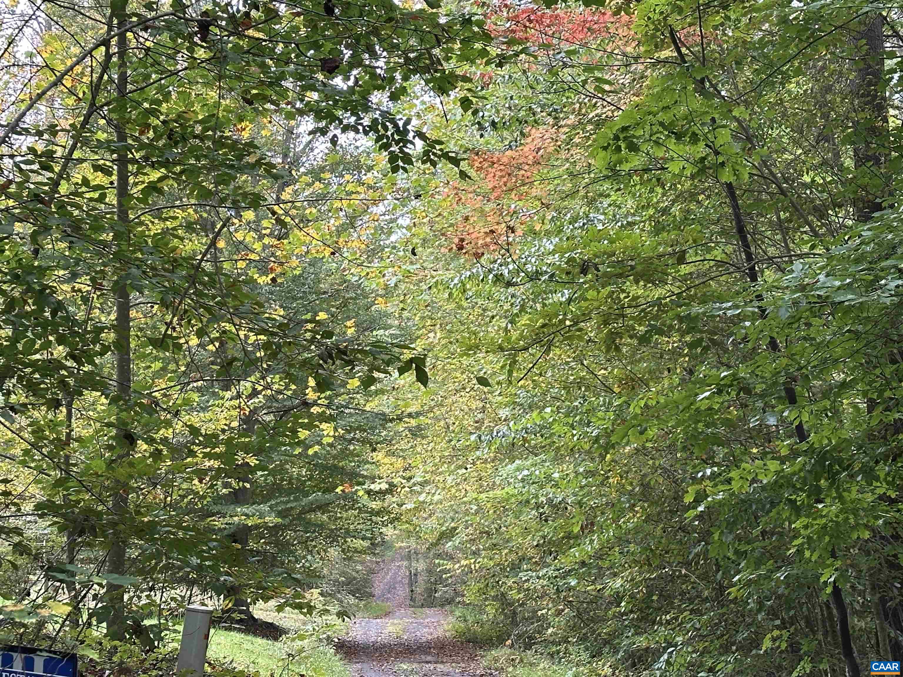 lot 2 FREDERICKSBURG RD, RUCKERSVILLE, Virginia 22968, ,Land,lot 2 FREDERICKSBURG RD,683183 MLS # 683183