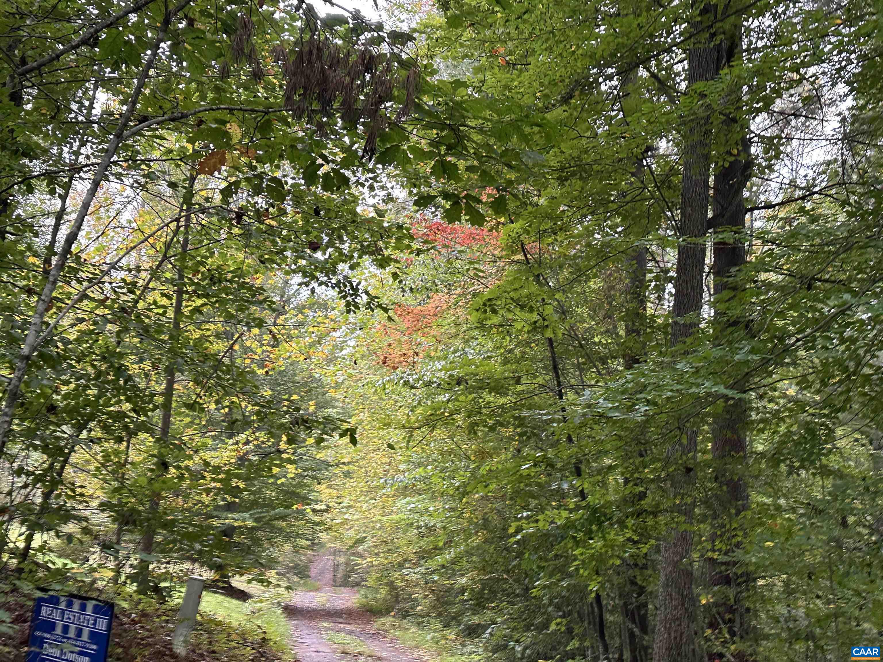 lot 2 FREDERICKSBURG RD, RUCKERSVILLE, Virginia 22968, ,Land,lot 2 FREDERICKSBURG RD,683183 MLS # 683183