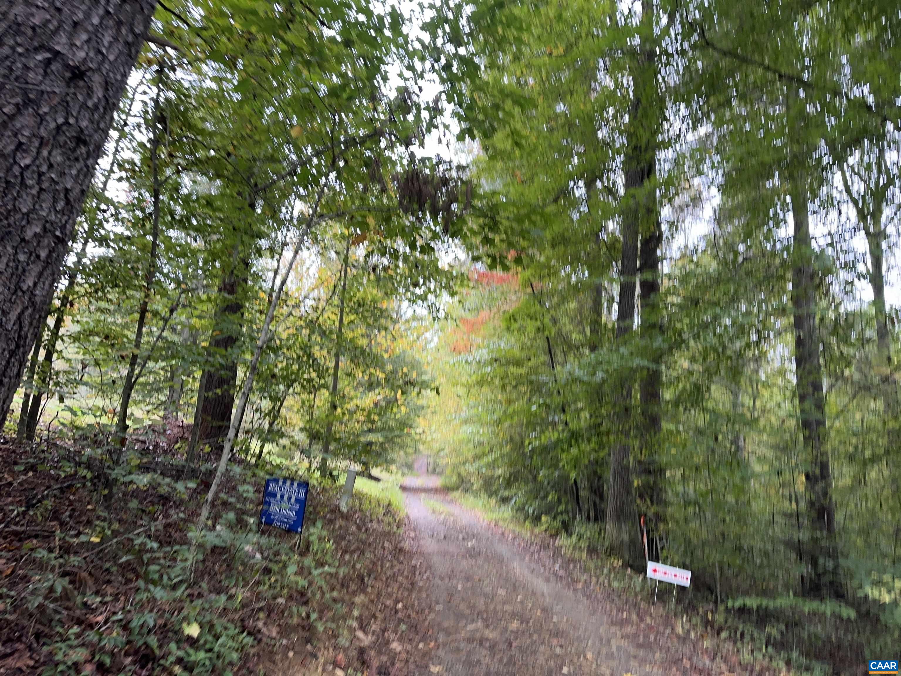 lot 2 FREDERICKSBURG RD, RUCKERSVILLE, Virginia 22968, ,Land,lot 2 FREDERICKSBURG RD,683183 MLS # 683183