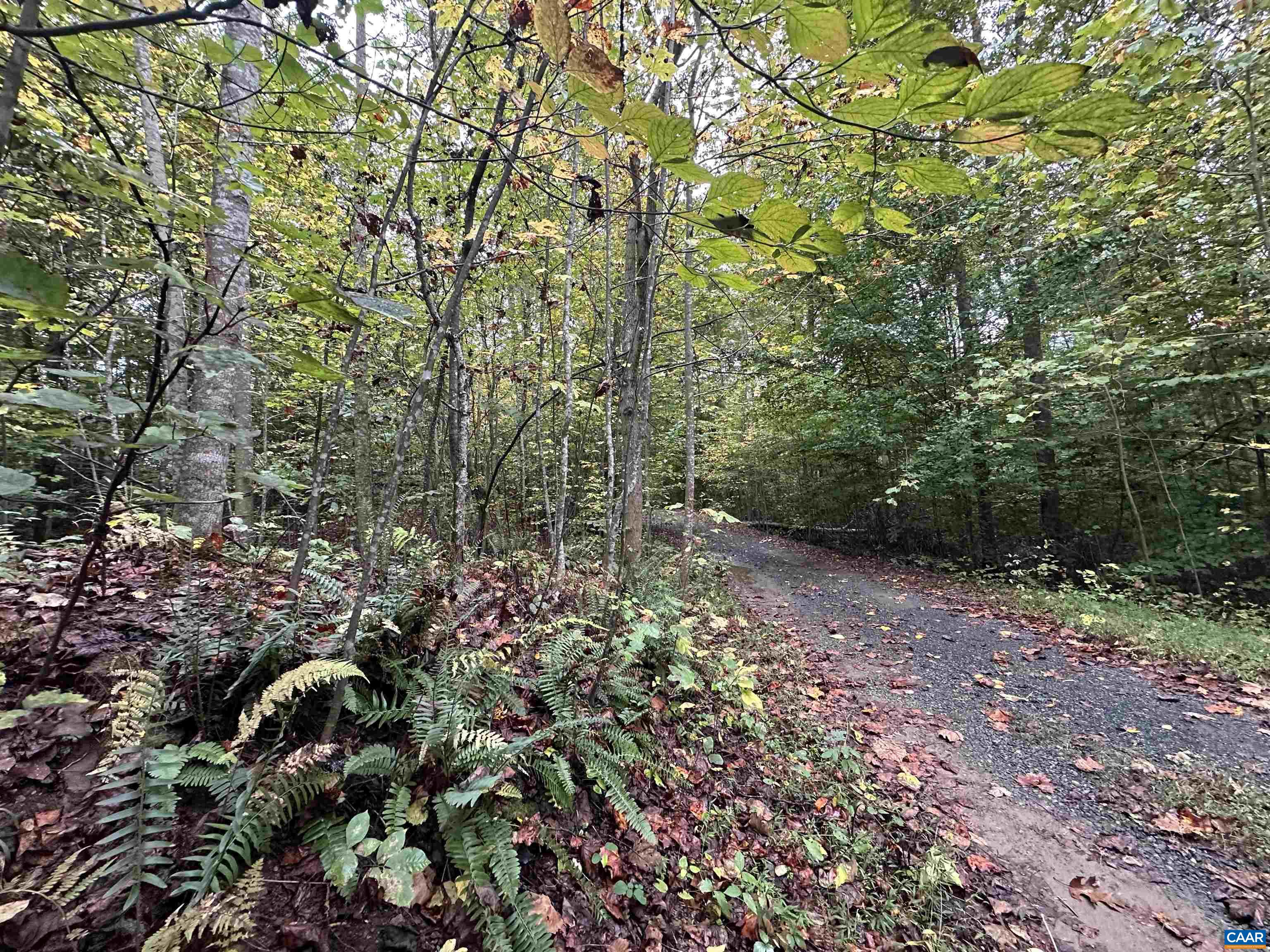 lot 2 FREDERICKSBURG RD, RUCKERSVILLE, Virginia 22968, ,Land,lot 2 FREDERICKSBURG RD,683183 MLS # 683183