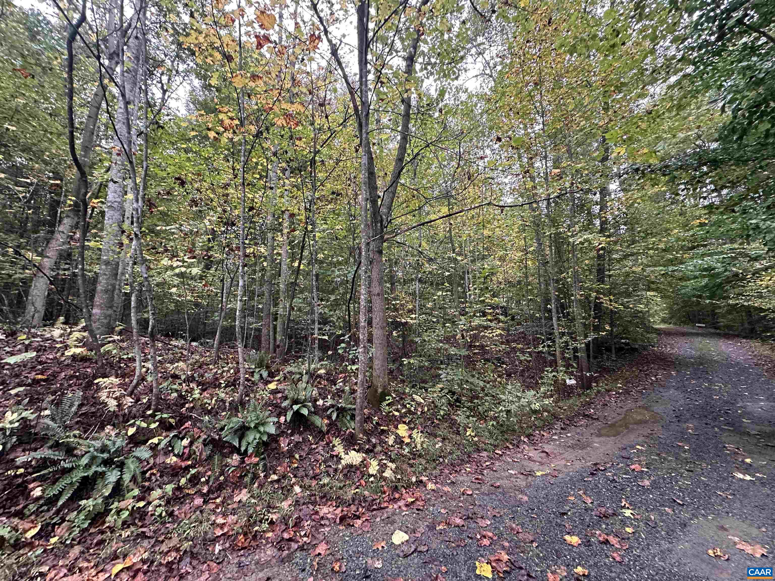 lot 2 FREDERICKSBURG RD, RUCKERSVILLE, Virginia 22968, ,Land,lot 2 FREDERICKSBURG RD,683183 MLS # 683183