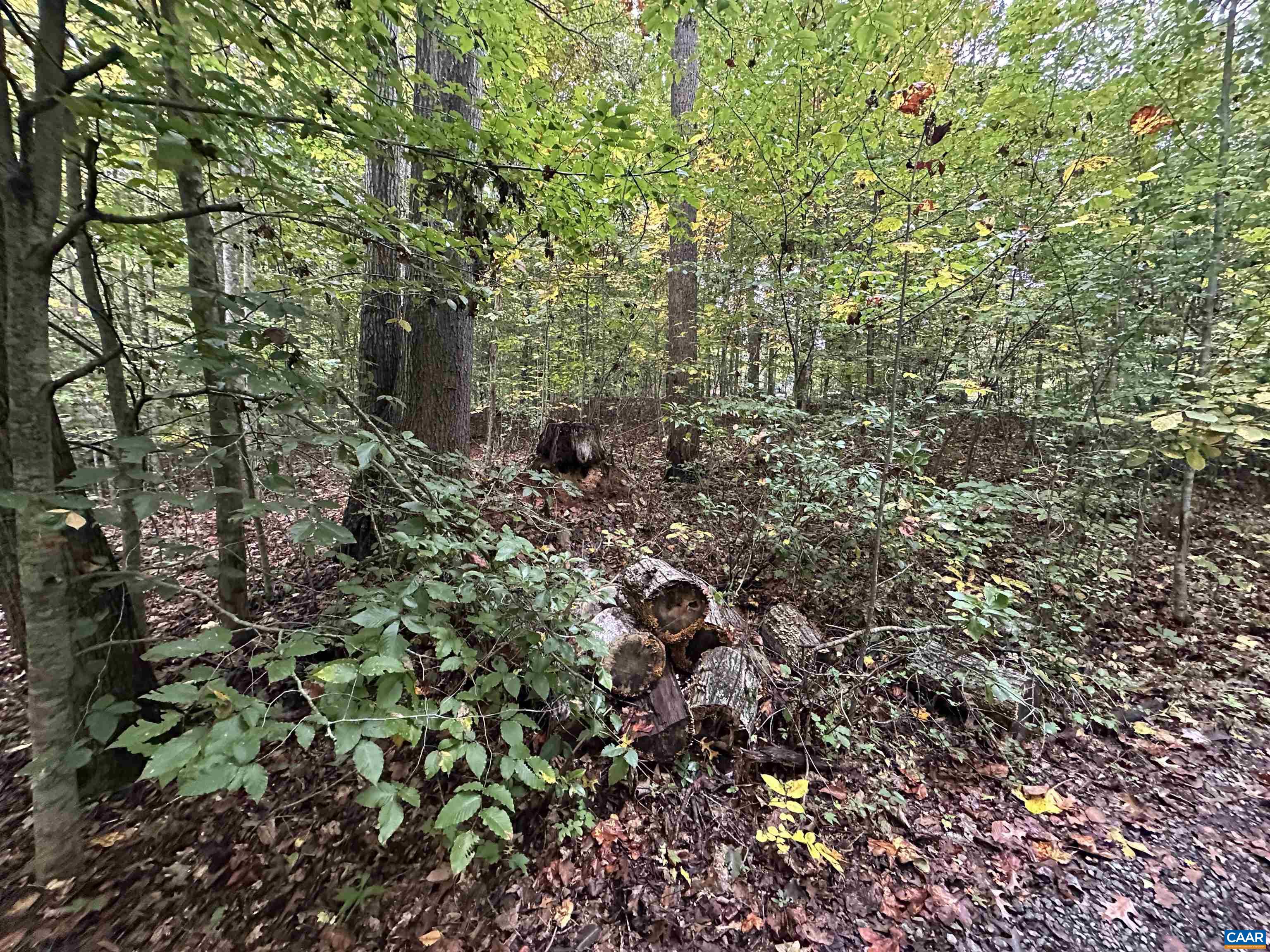 lot 2 FREDERICKSBURG RD, RUCKERSVILLE, Virginia 22968, ,Land,lot 2 FREDERICKSBURG RD,683183 MLS # 683183
