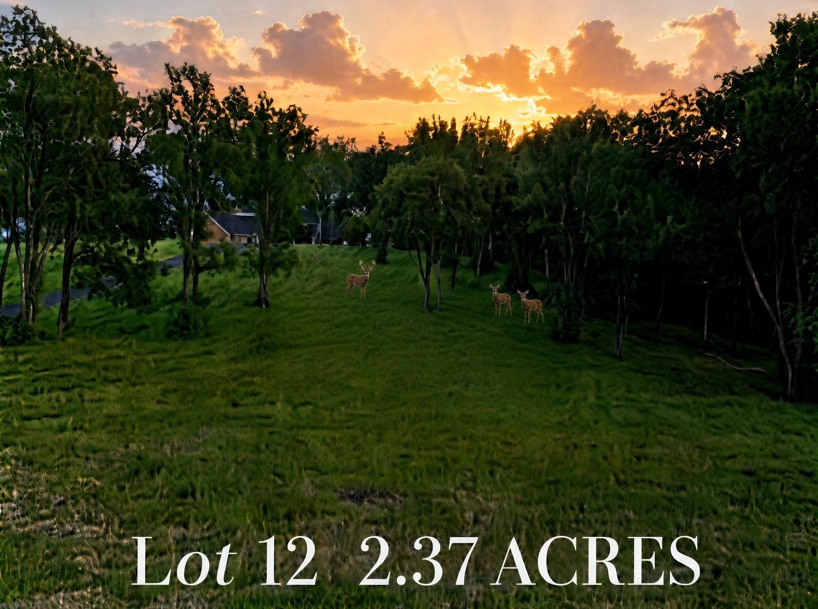 TBD 2.37 BERRY FARM RD, STAUNTON, Virginia 24401, ,Land,Crown Ridge Estates Lot 12,TBD 2.37 BERRY FARM RD,683184 MLS # 683184 TBD 2.37 BERRY FARM RD, STAUNTON, Virginia 24401, ,Land,Crown Ridge Estates Lot 12,TBD 2.37 BERRY FARM RD,683184 MLS # 683184