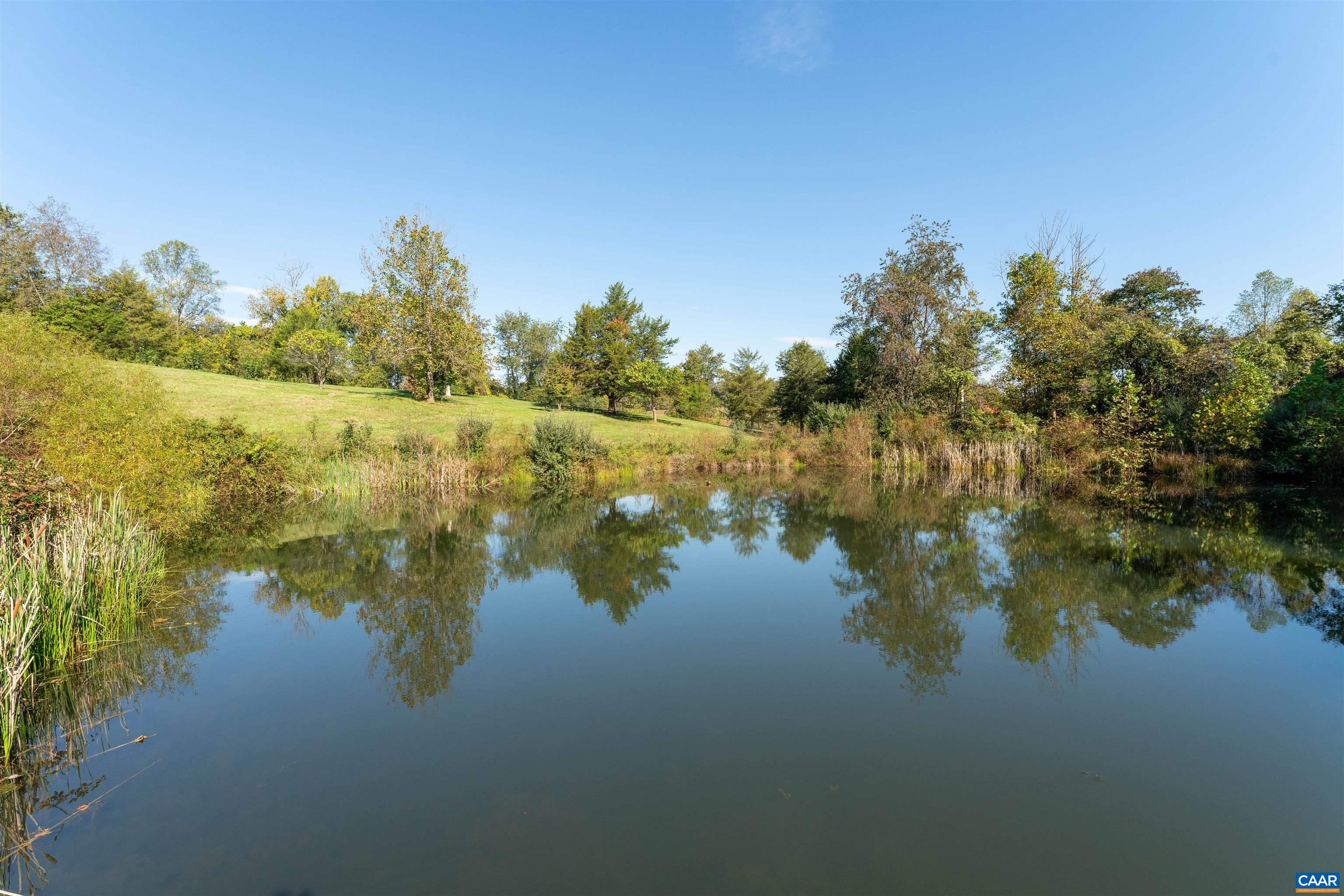 The pond from its banks, with open meadow beyond. The pond from its banks, with open meadow beyond.