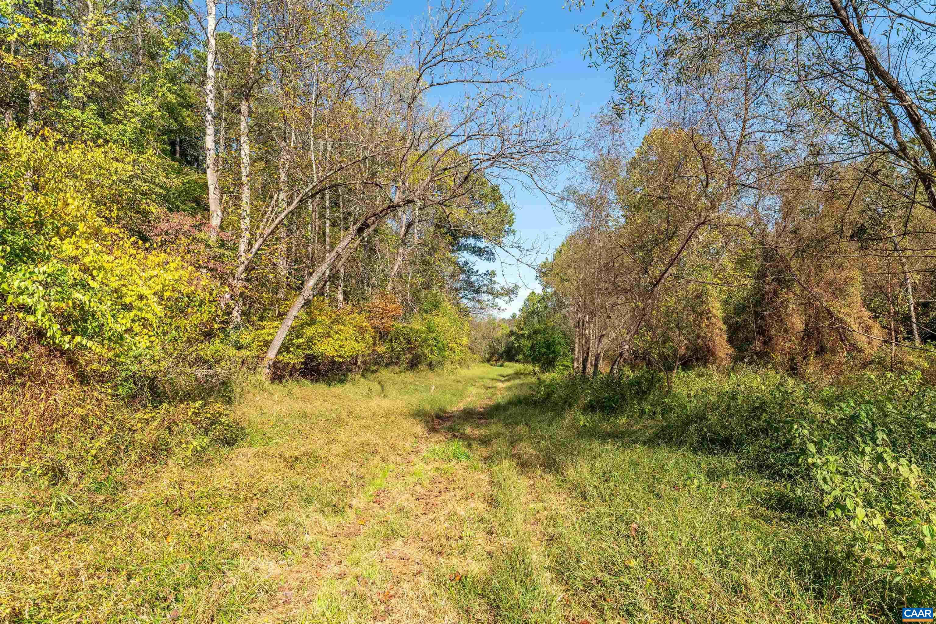 Trail through the hardwoods. Mown trails connect the fields, woodland and pond. Trail through the hardwoods. Mown trails connect the fields, woodland and pond.