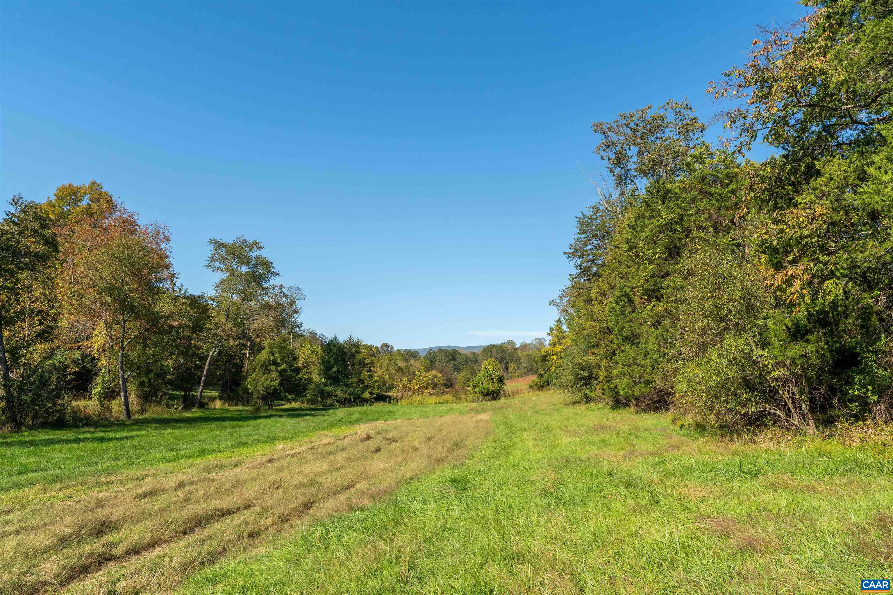 Mown lane between stands of hardwood toward the back acreage. Mown lane between stands of hardwood toward the back acreage.