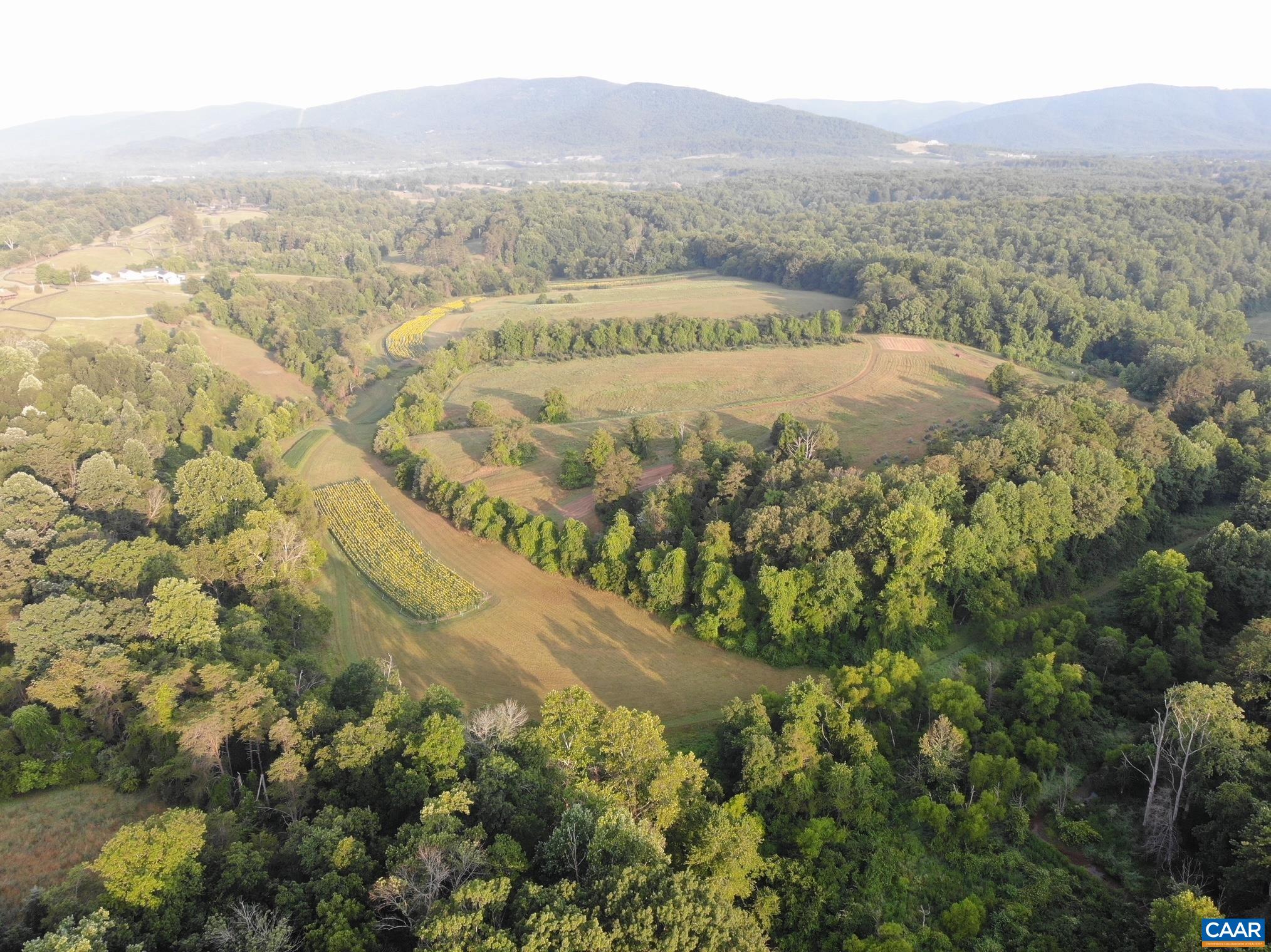 The back acreage toward the Blue Ridge: open fields, hedgerows and woodland. More than 2,000 trees have been planted on the property since 2013. The back acreage toward the Blue Ridge: open fields, hedgerows and woodland. More than 2,000 trees have been planted on the property since 2013.