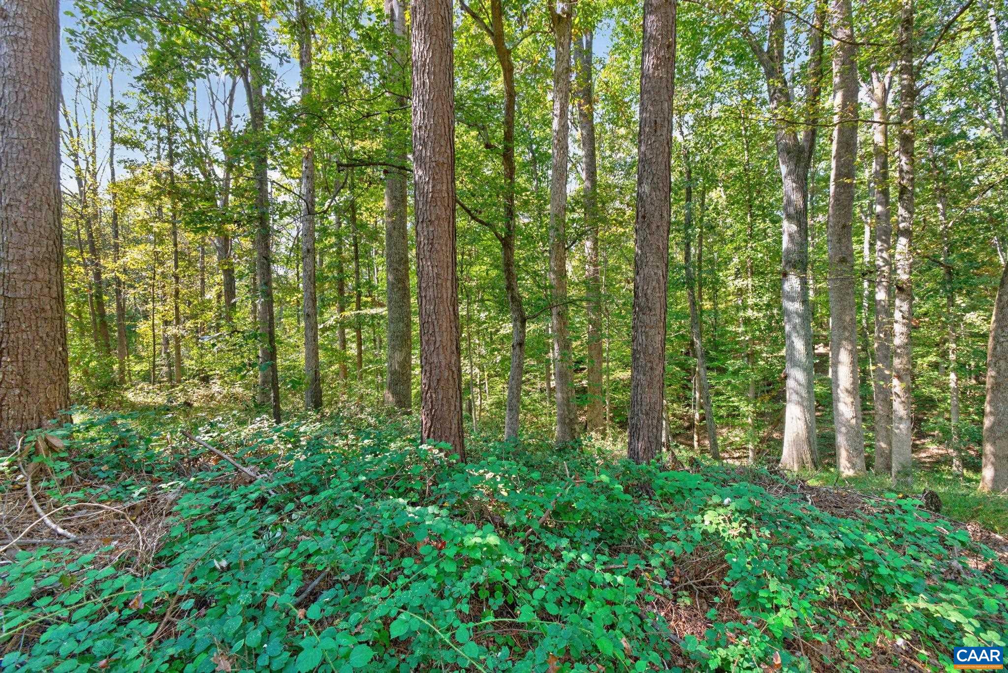 1044 MILTON DR, KESWICK, Virginia 22947, 3 Bedrooms Bedrooms, ,2 BathroomsBathrooms,Residential,1044 MILTON DR,683187 MLS # 683187
