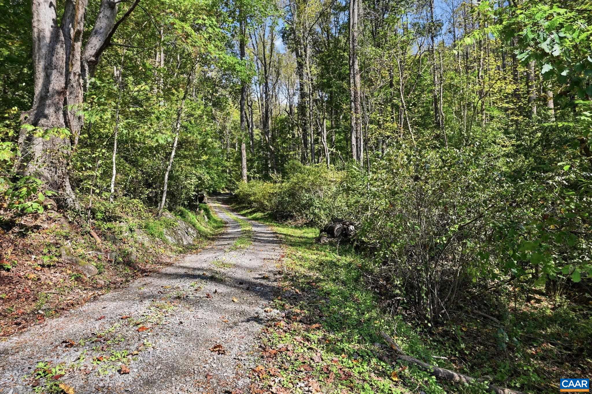 1956 LOCUST HOLLOW RD, CHARLOTTESVILLE, Virginia 22901, 3 Bedrooms Bedrooms, ,2 BathroomsBathrooms,Residential,1956 LOCUST HOLLOW RD,683202 MLS # 683202
