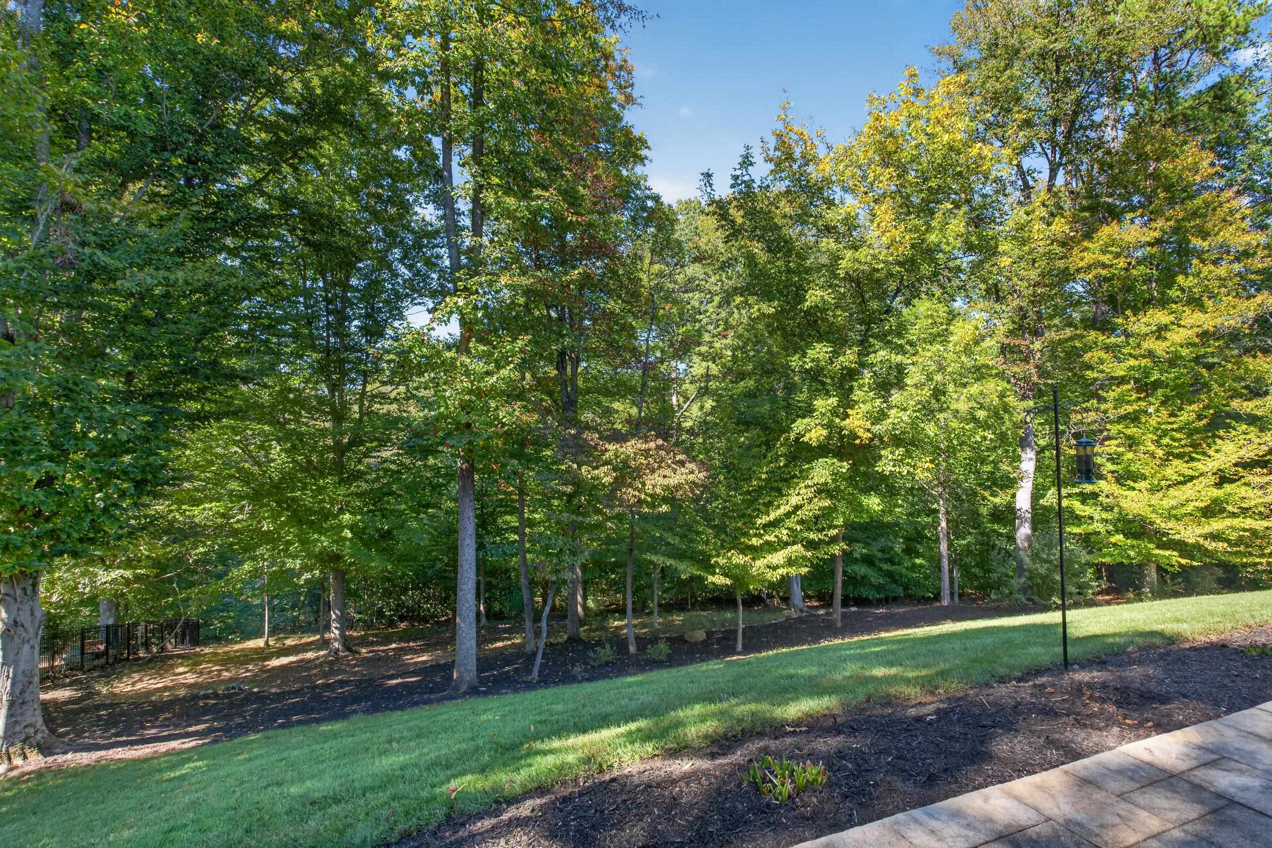 112 SAN MARCOS WAY, CROZET, Virginia 22932, 4 Bedrooms Bedrooms, ,4 BathroomsBathrooms,Residential,112 SAN MARCOS WAY,683210 MLS # 683210 112 SAN MARCOS WAY, CROZET, Virginia 22932, 4 Bedrooms Bedrooms, ,4 BathroomsBathrooms,Residential,112 SAN MARCOS WAY,683210 MLS # 683210